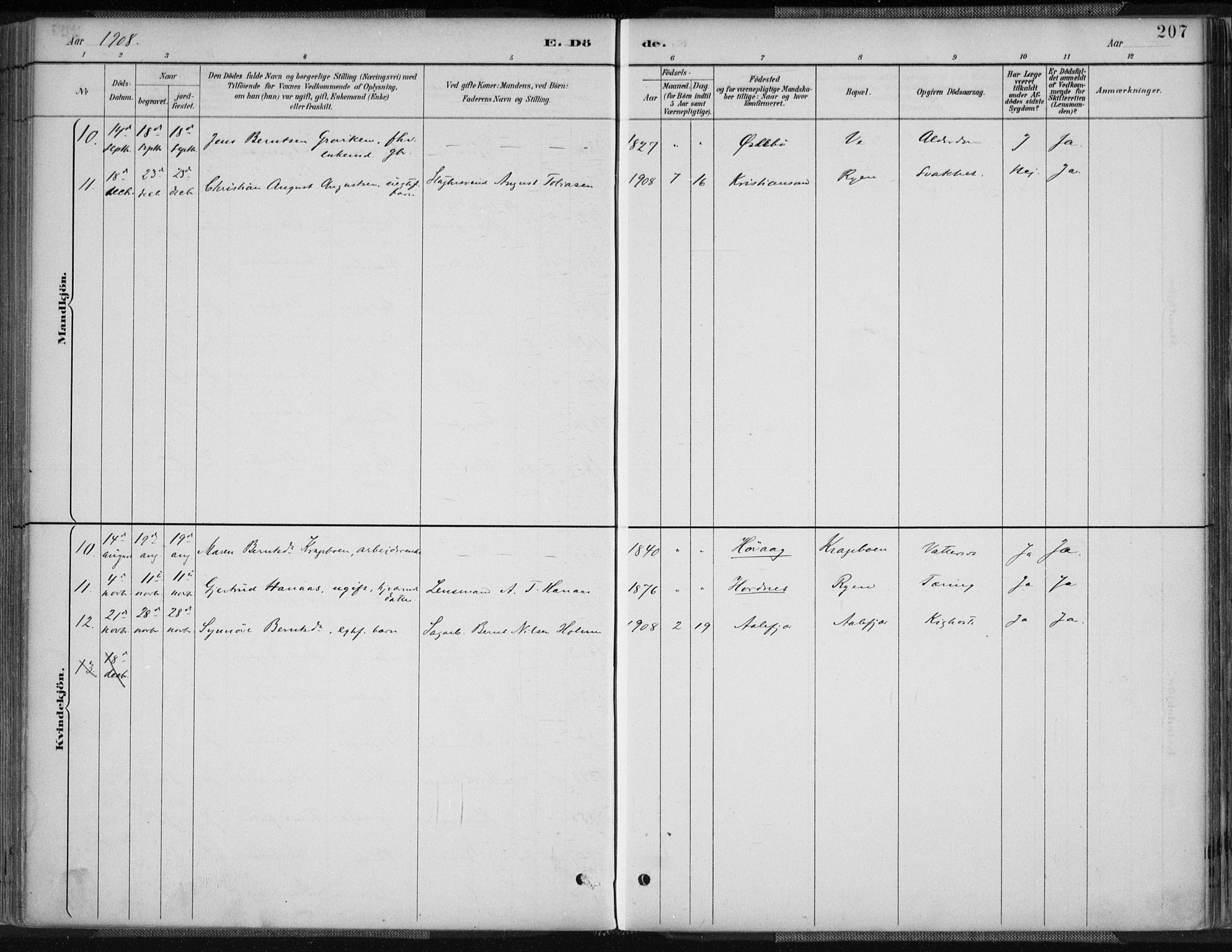 Tveit sokneprestkontor, AV/SAK-1111-0043/F/Fa/L0007: Parish register (official) no. A 7, 1887-1908, p. 207