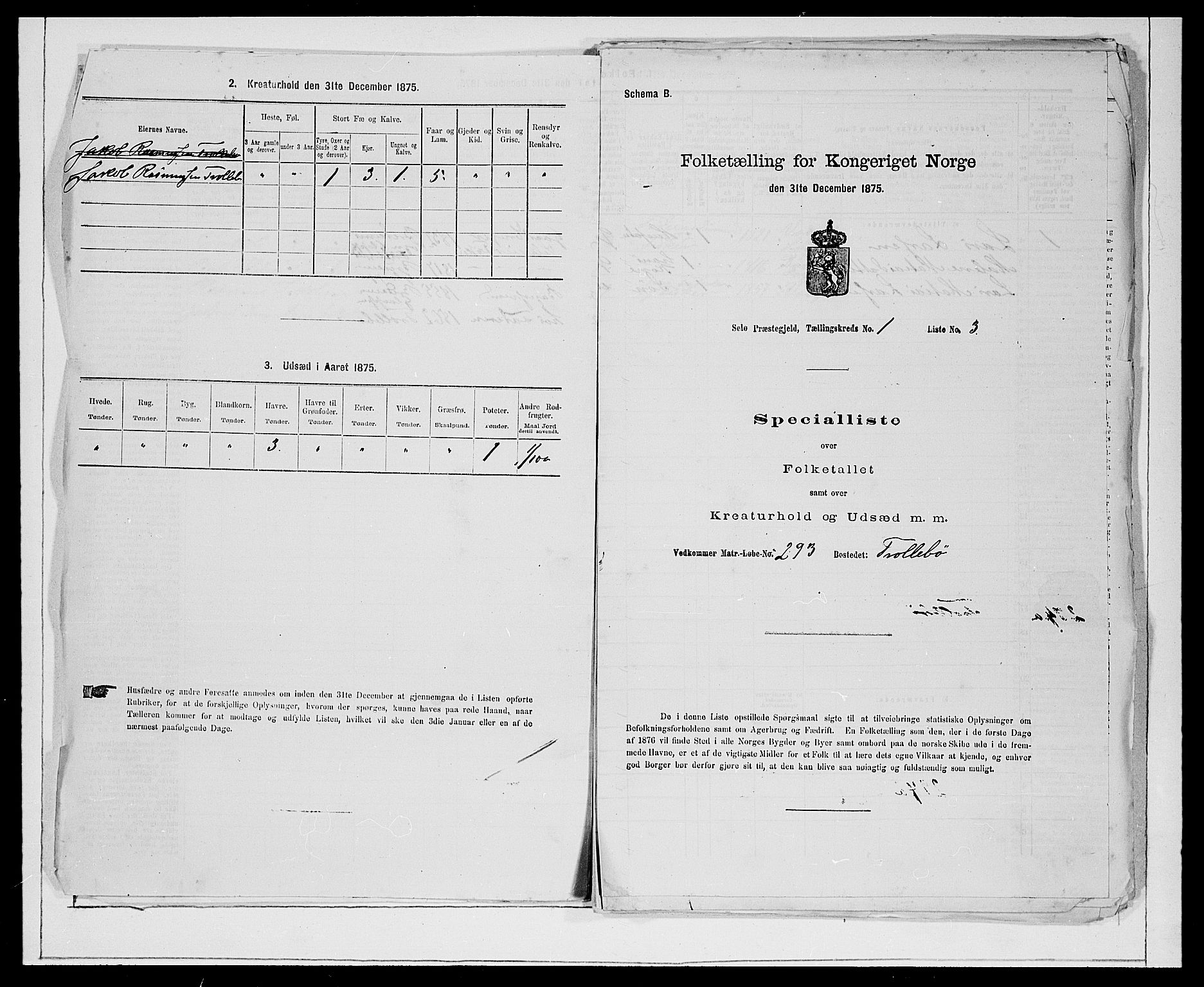 SAB, 1875 Census for 1441P Selje, 1875, p. 36