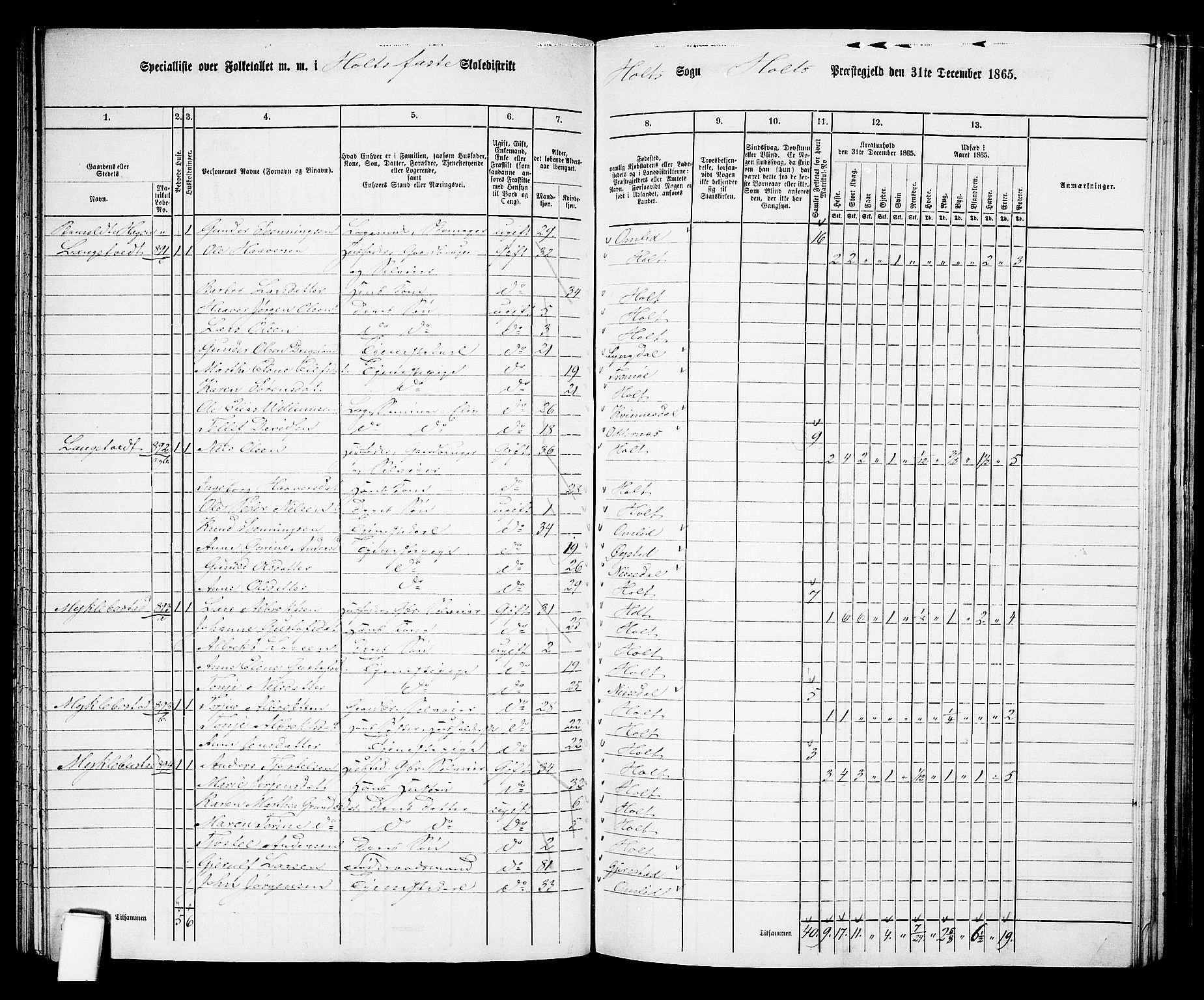 RA, 1865 census for Holt/Holt, 1865, p. 94