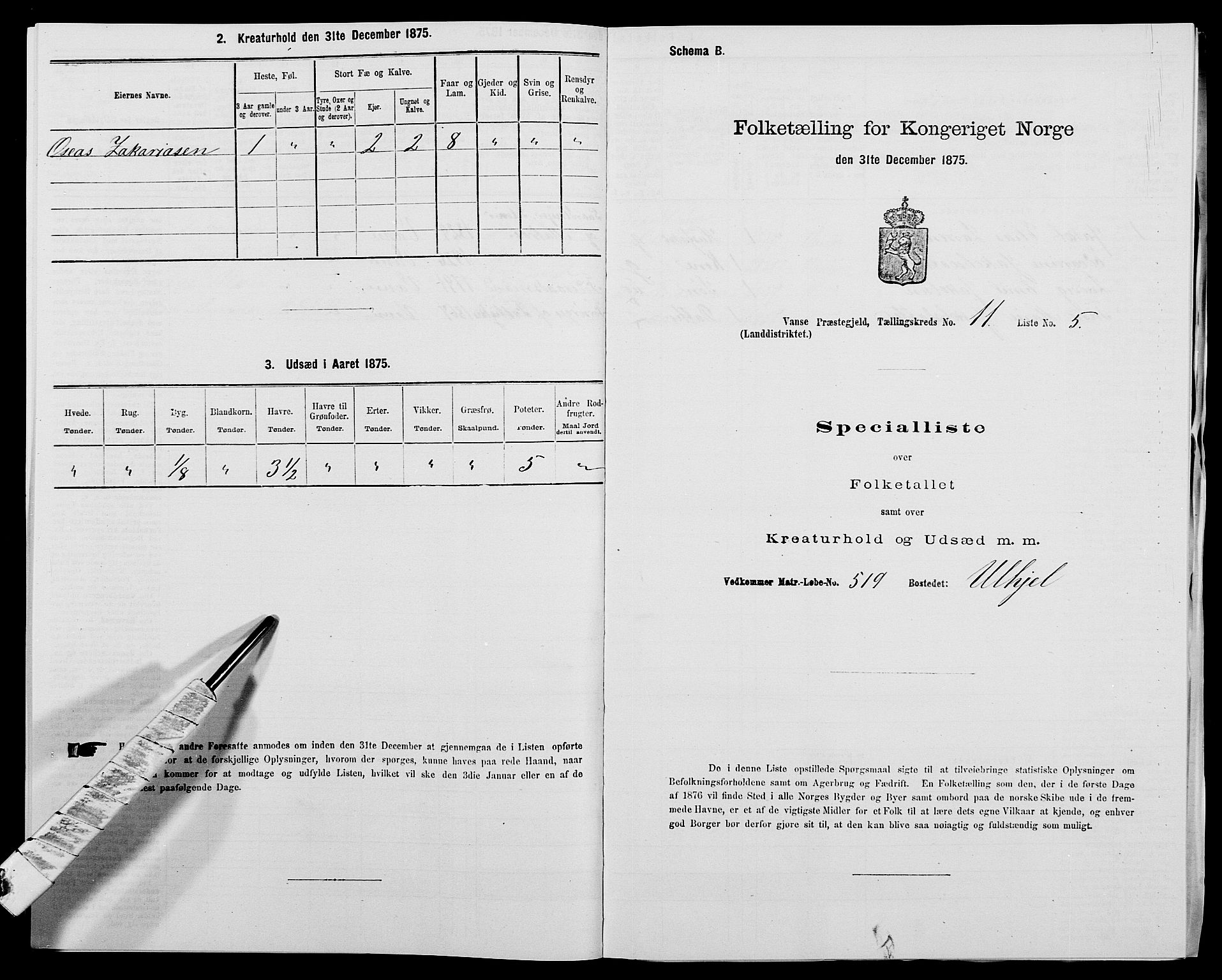 SAK, 1875 census for 1041L Vanse/Vanse og Farsund, 1875, p. 1994