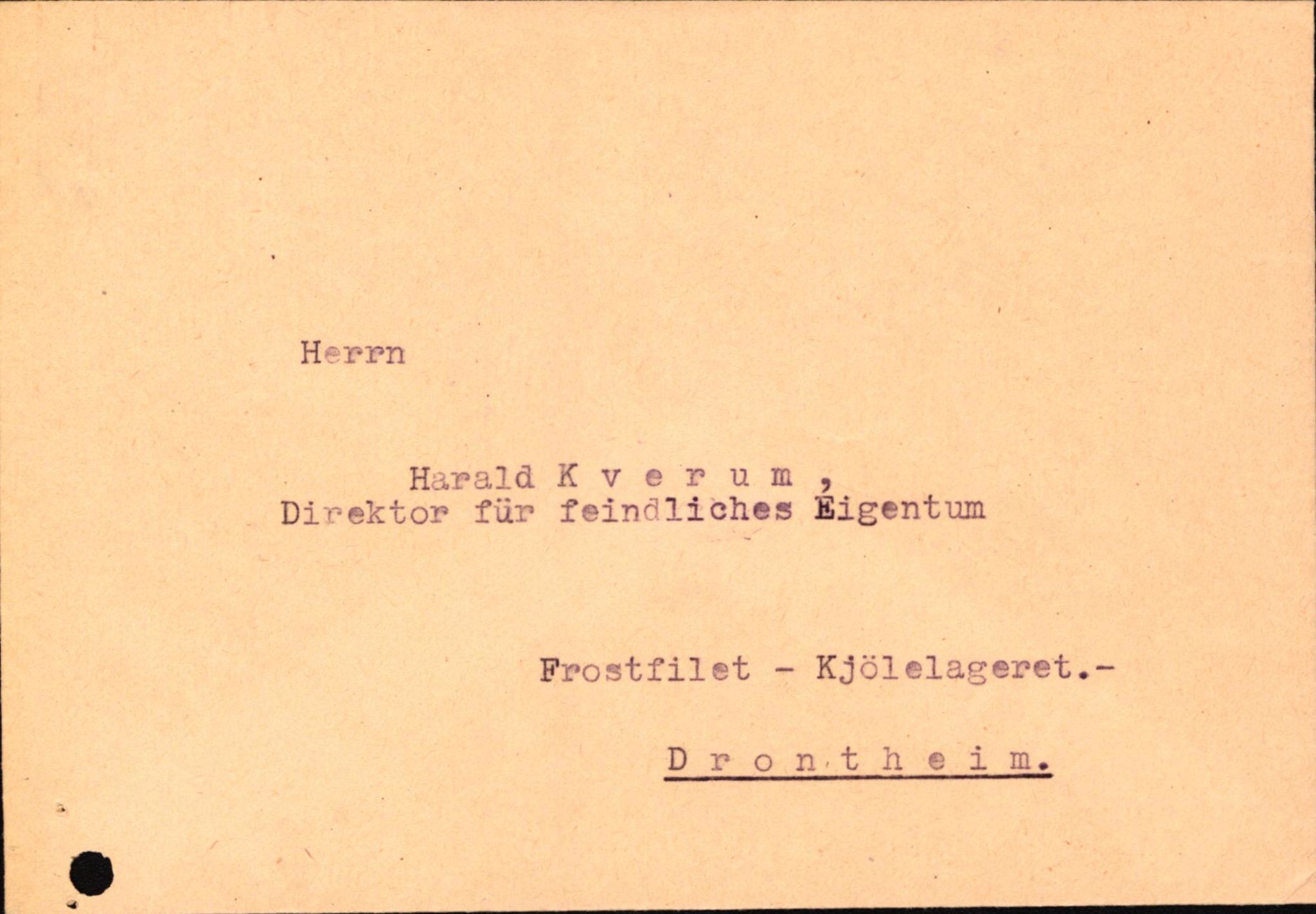 Forsvaret, Forsvarets overkommando II, AV/RA-RAFA-3915/D/Db/L0032: CI Questionaires. Tyske okkupasjonsstyrker i Norge. Tyskere., 1945-1946, p. 128