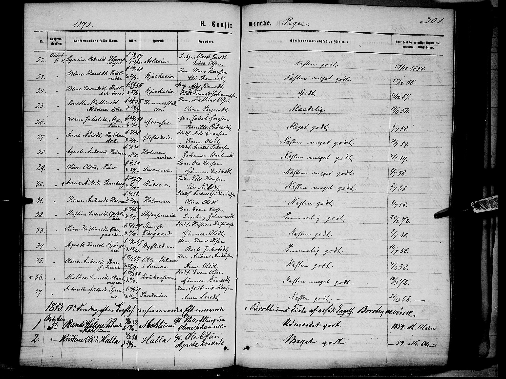 Ringsaker prestekontor, SAH/PREST-014/K/Ka/L0011: Parish register (official) no. 11, 1870-1878, p. 301