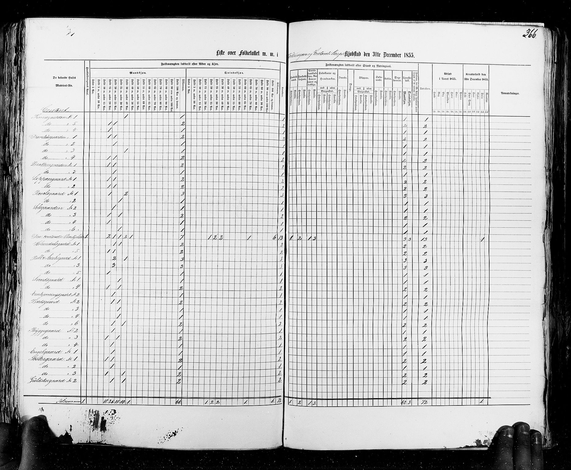 RA, Census 1855, vol. 8: Risør-Vadsø, 1855, p. 366