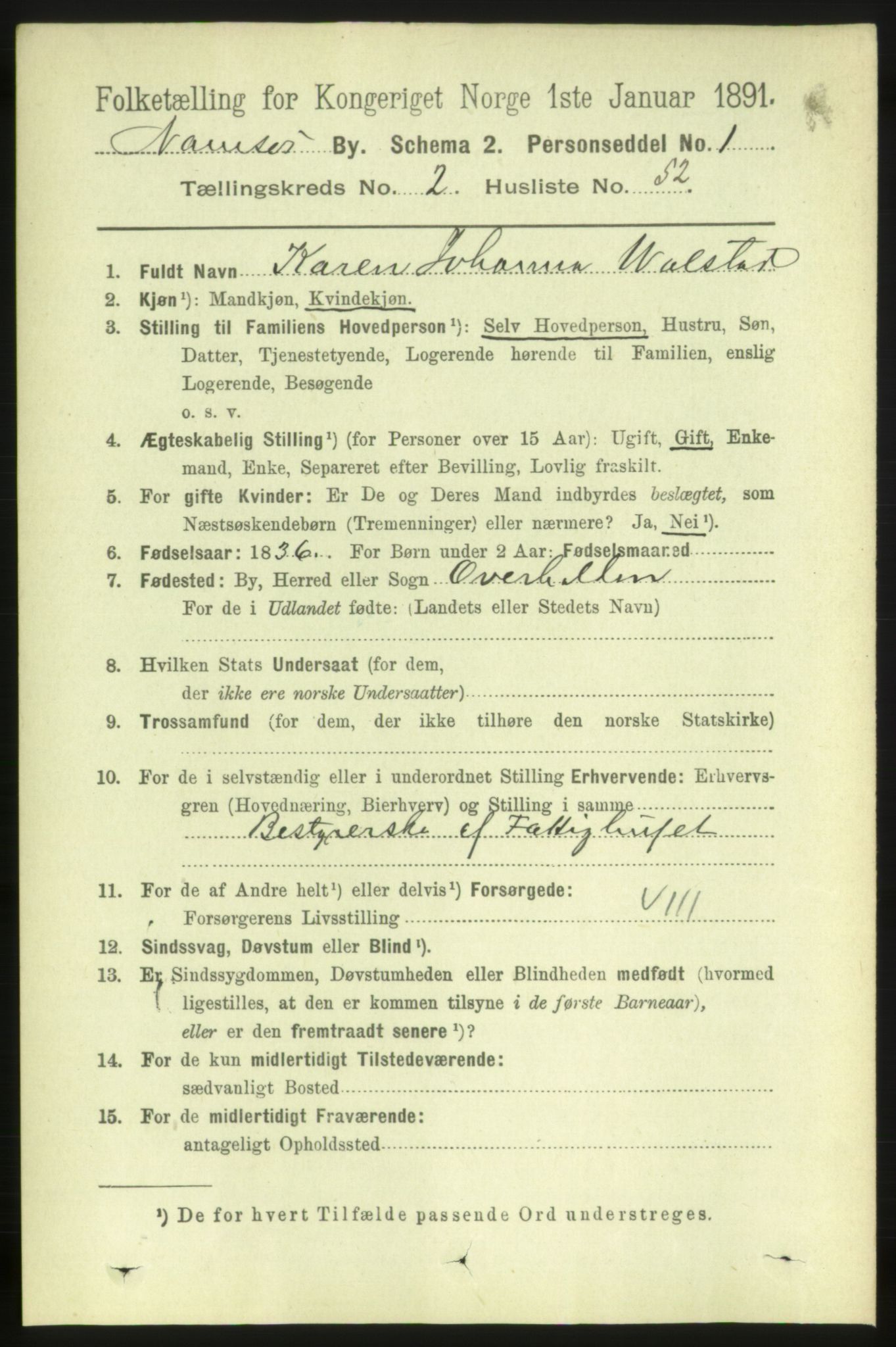 RA, 1891 census for 1703 Namsos, 1891, p. 1088