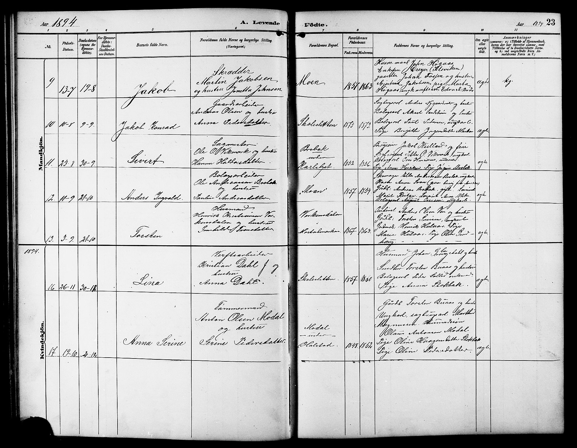 Ministerialprotokoller, klokkerbøker og fødselsregistre - Sør-Trøndelag, SAT/A-1456/617/L0431: Parish register (copy) no. 617C01, 1889-1910, p. 23