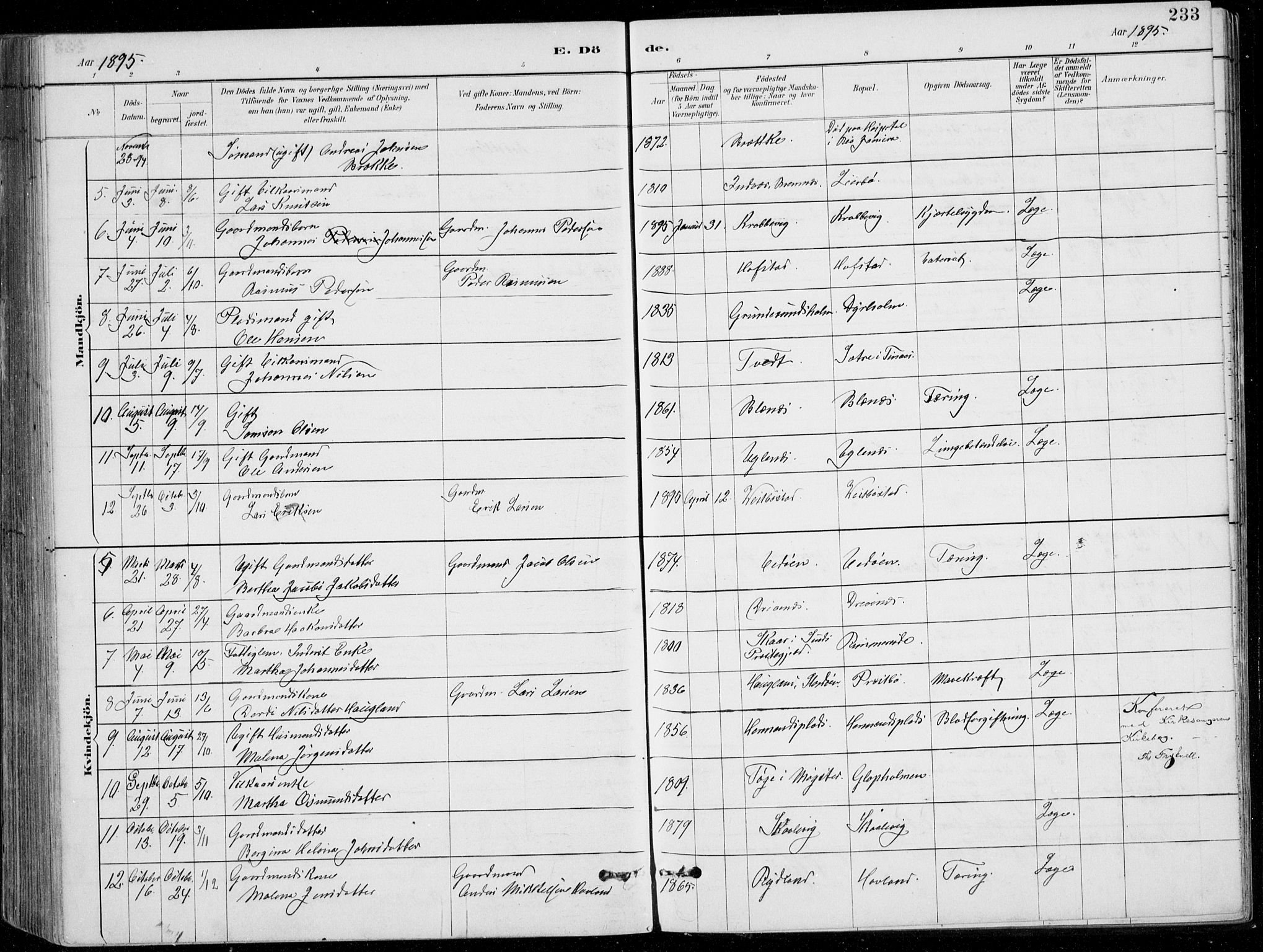 Fitjar sokneprestembete, AV/SAB-A-99926: Parish register (copy) no. A 2, 1887-1906, p. 233