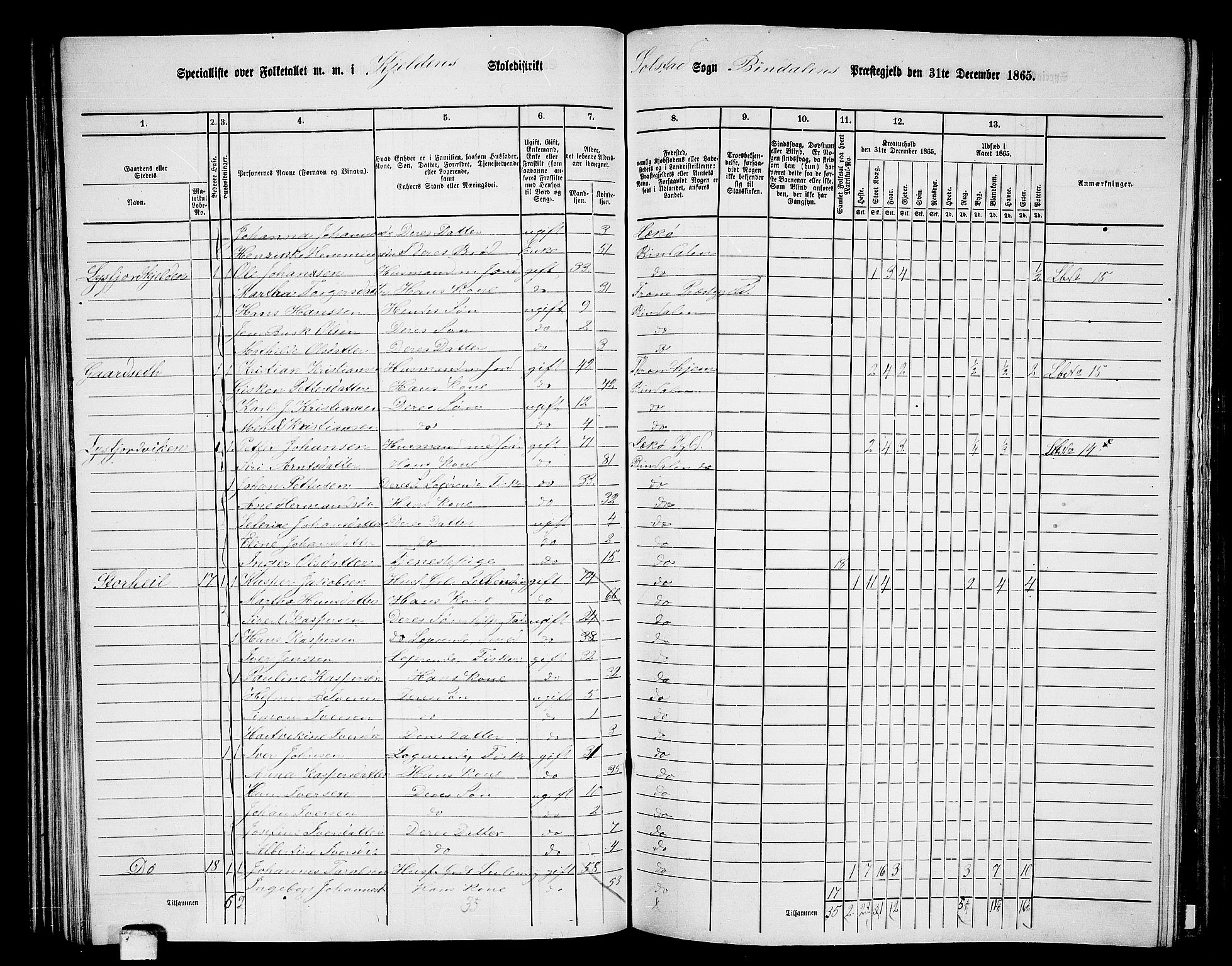 RA, 1865 census for Bindal, 1865, p. 64