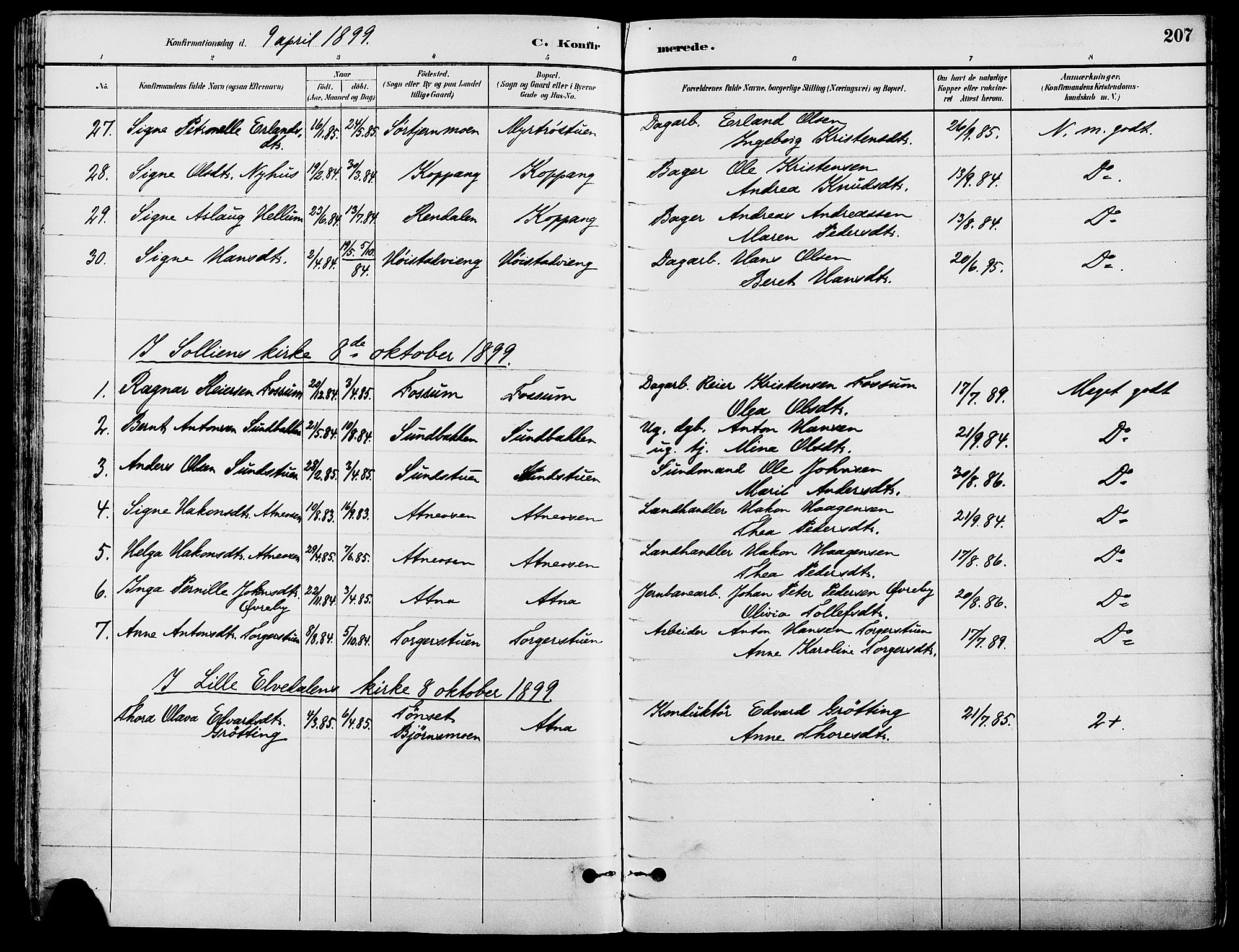 Stor-Elvdal prestekontor, AV/SAH-PREST-052/H/Ha/Haa/L0002: Parish register (official) no. 2, 1882-1907, p. 207