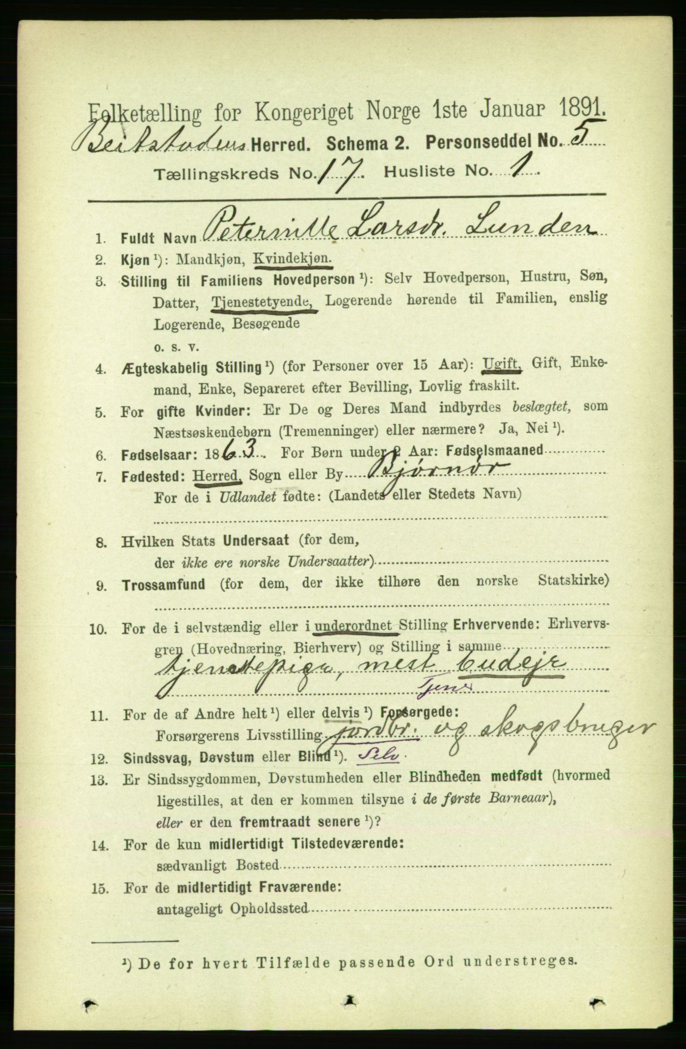 RA, 1891 census for 1727 Beitstad, 1891, p. 4364