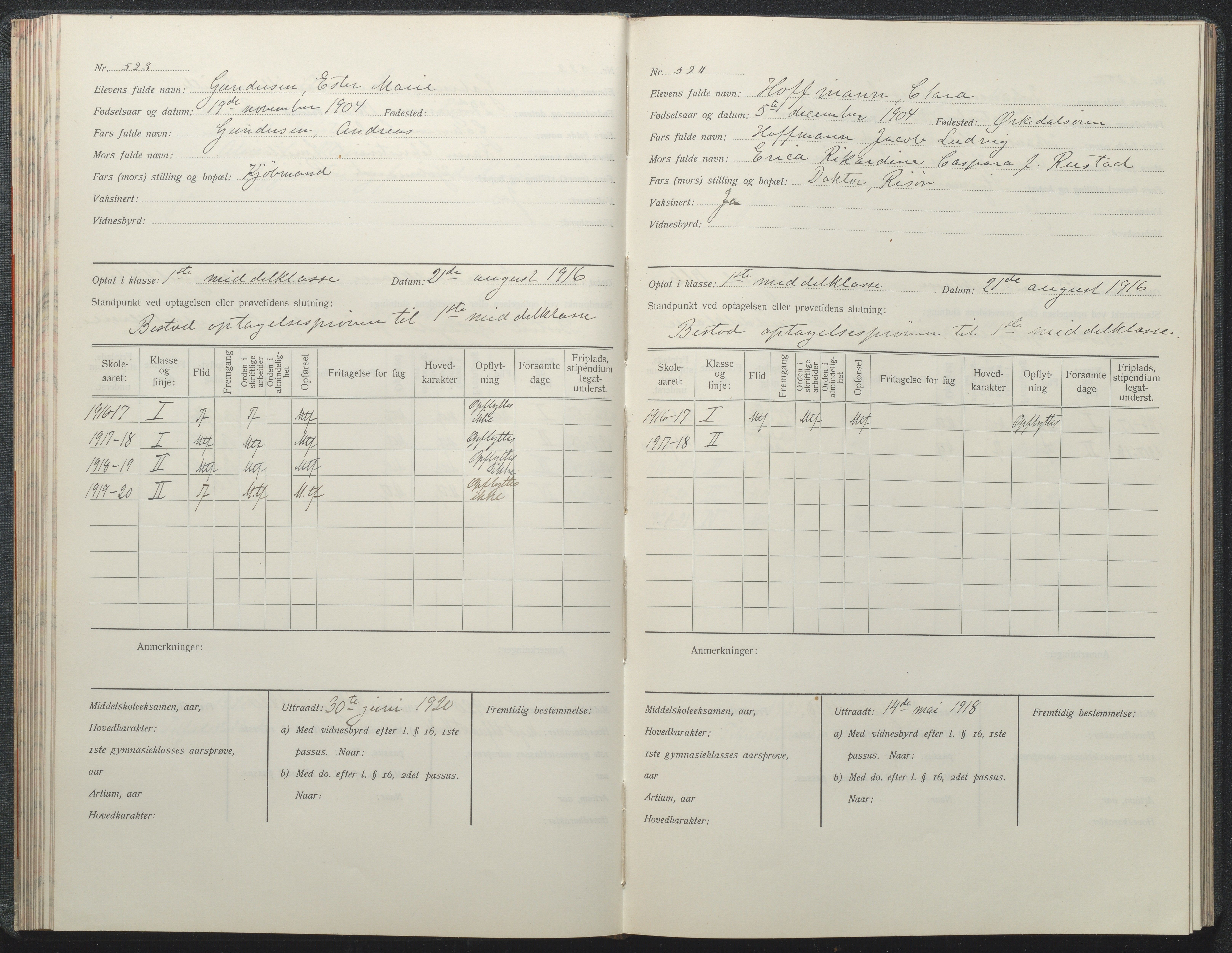 Risør kommune, AAKS/KA0901-PK/1/05/05i/L0002: Manntallsprotokoll, 1911-1925, p. 523-524