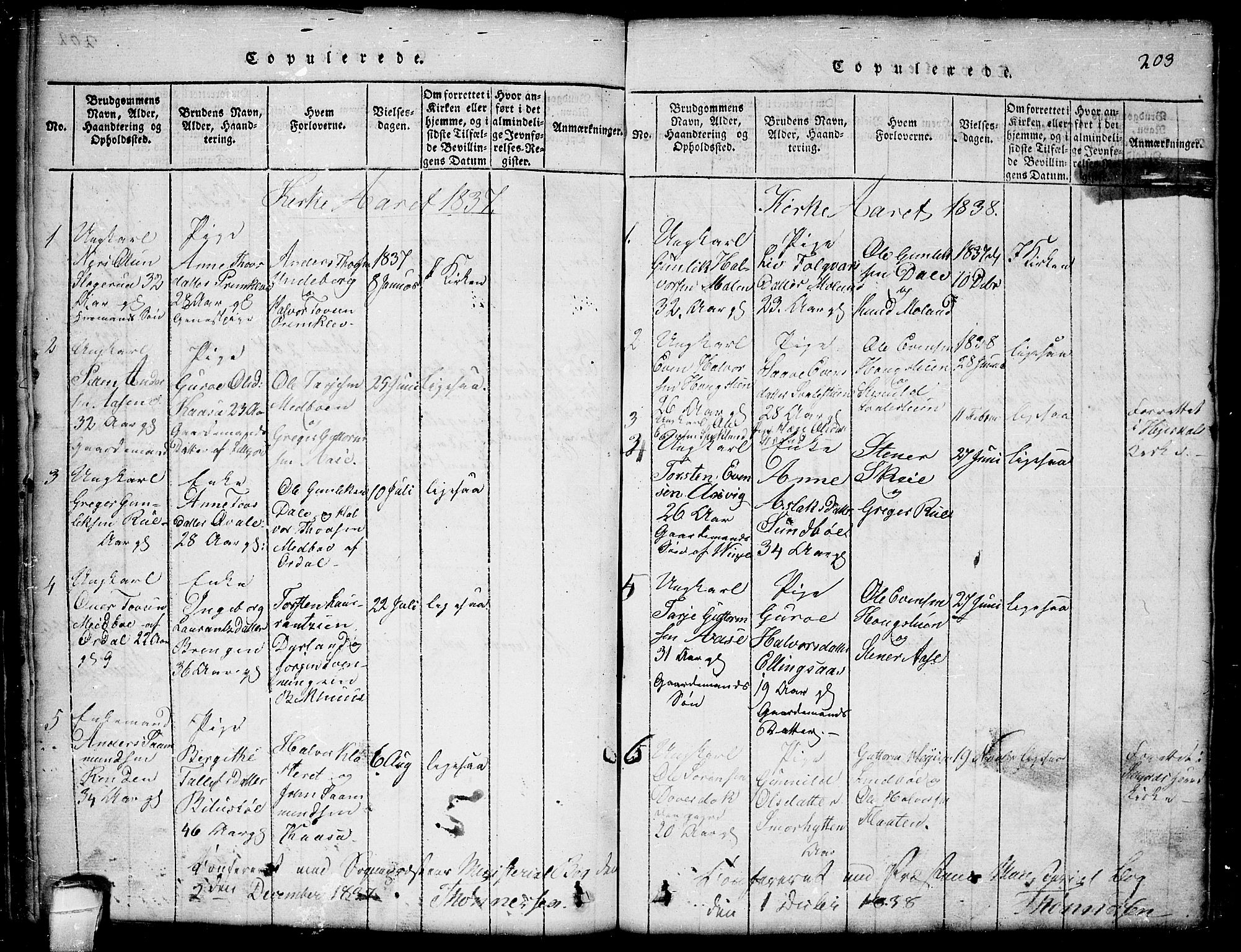 Seljord kirkebøker, SAKO/A-20/G/Gb/L0002: Parish register (copy) no. II 2, 1815-1854, p. 203