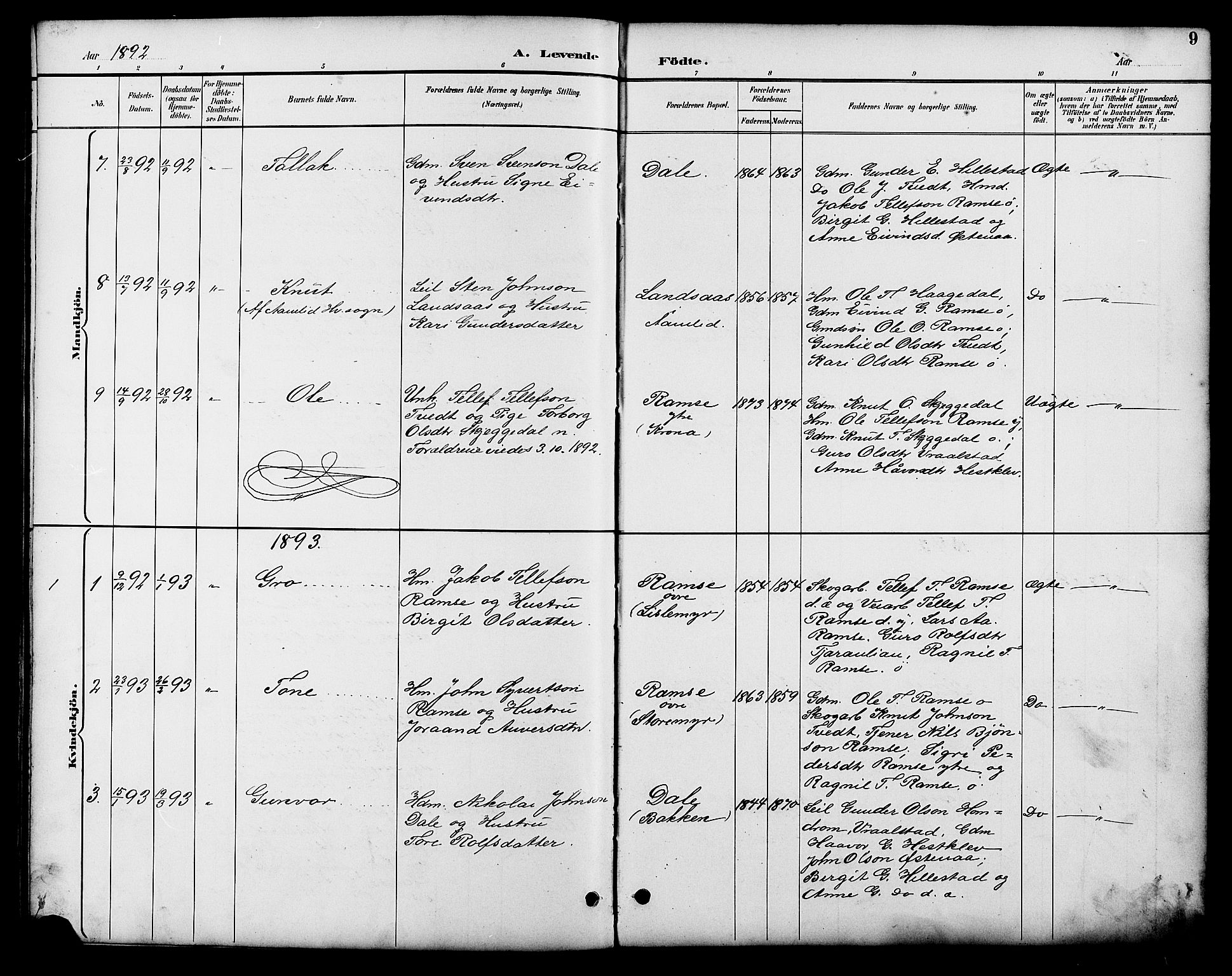 Åmli sokneprestkontor, SAK/1111-0050/F/Fb/Fbb/L0002: Parish register (copy) no. B 2, 1890-1905, p. 9