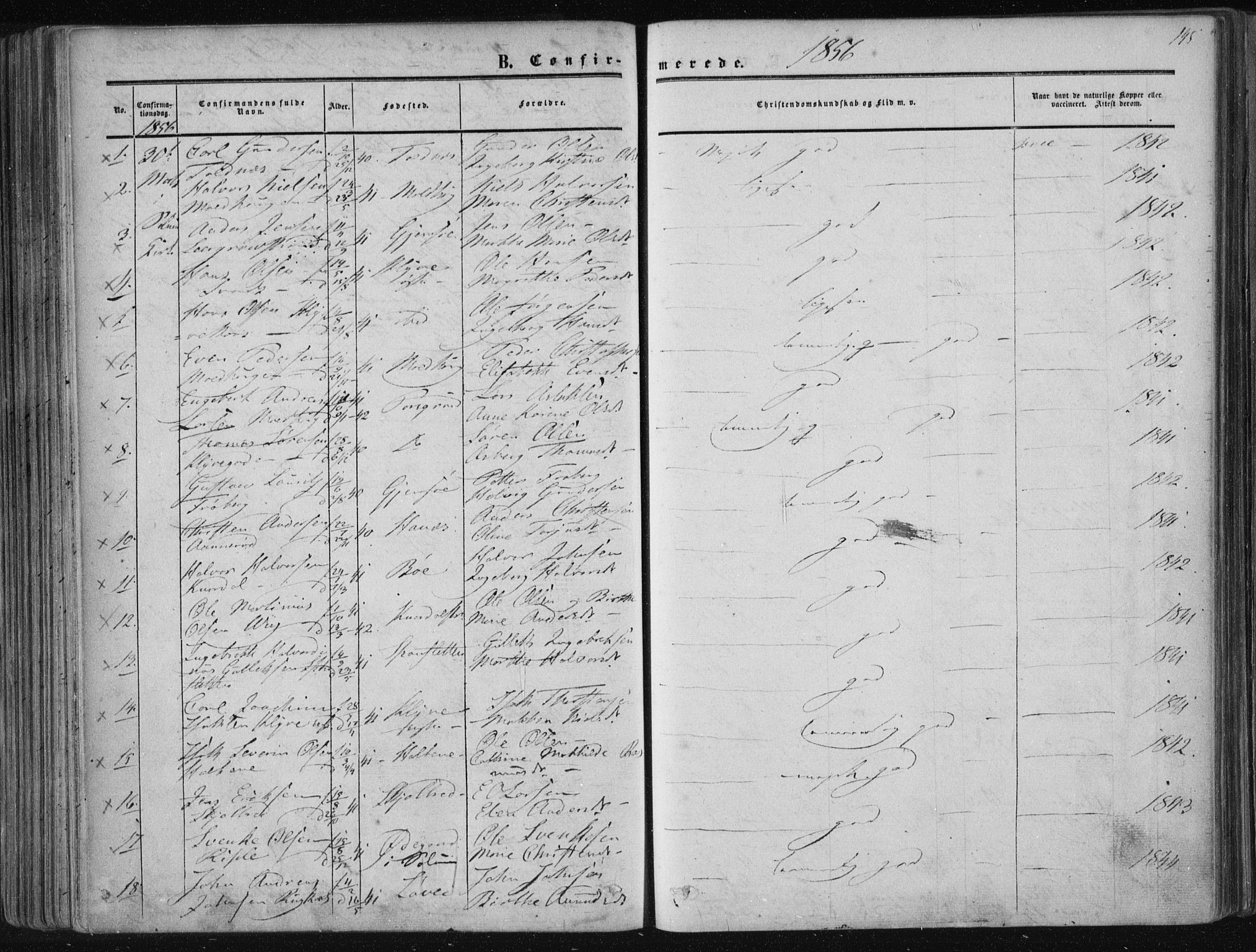Solum kirkebøker, SAKO/A-306/F/Fa/L0007: Parish register (official) no. I 7, 1856-1864, p. 145