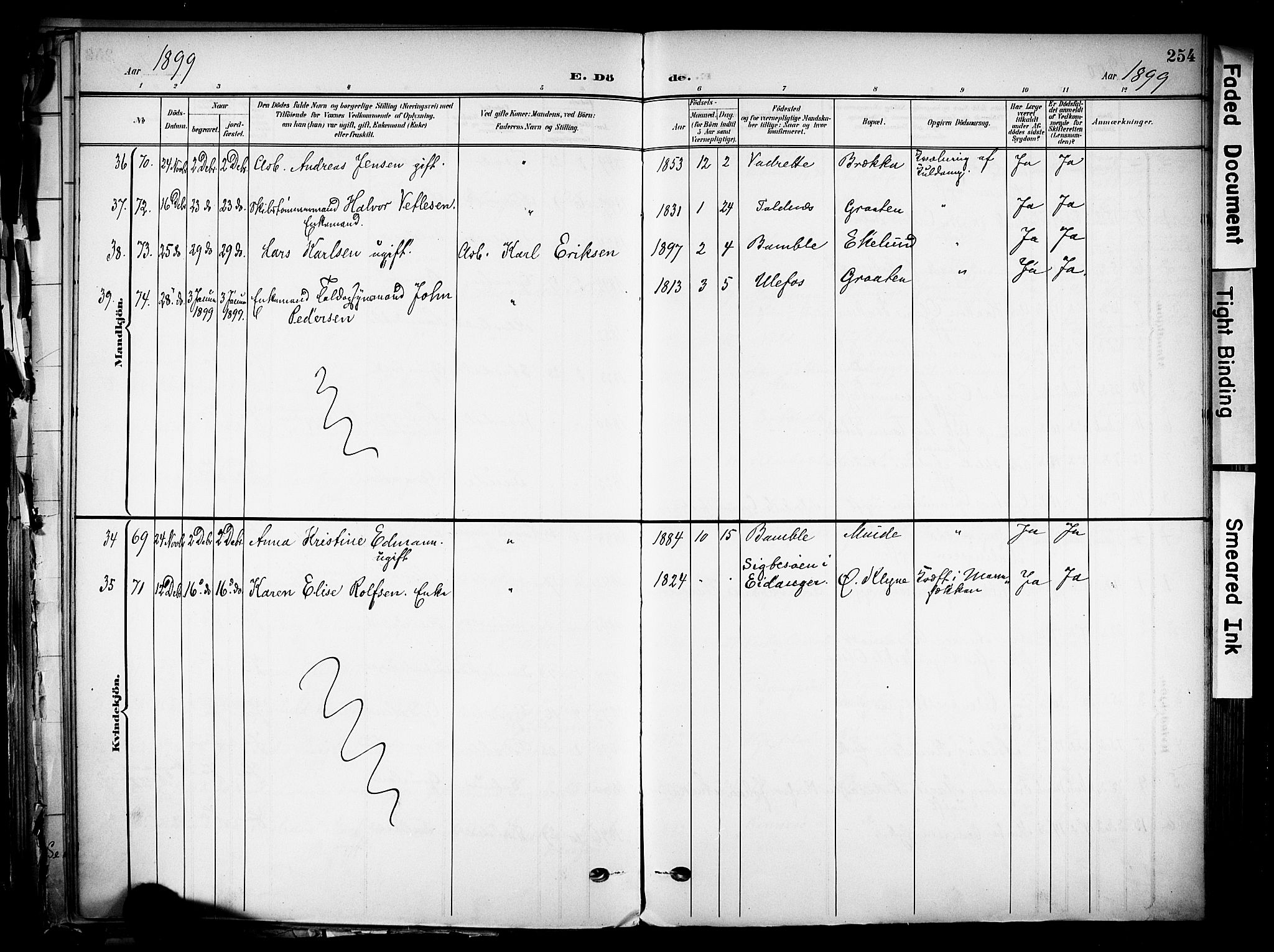 Solum kirkebøker, SAKO/A-306/F/Fa/L0011: Parish register (official) no. I 11, 1898-1909, p. 254