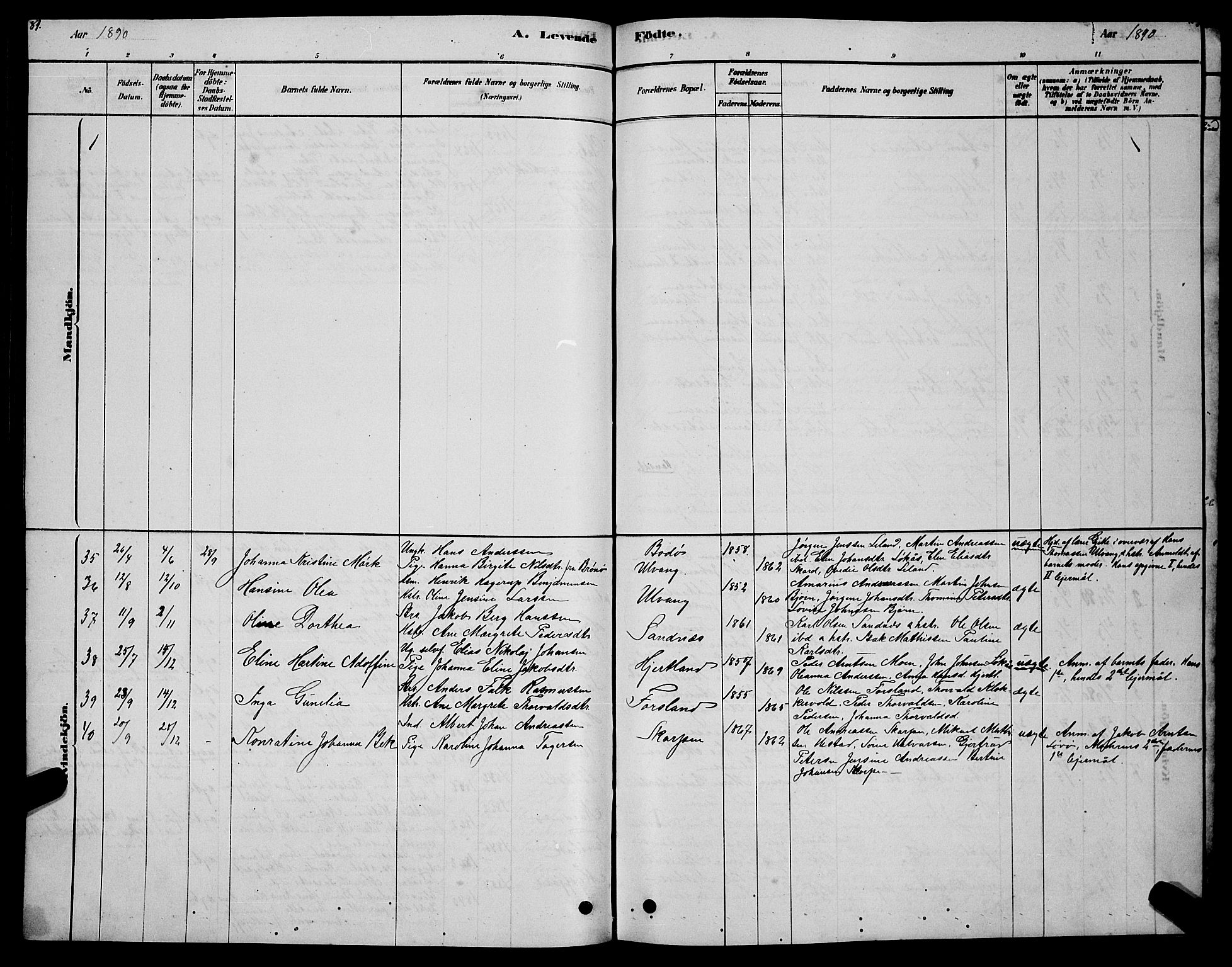 Ministerialprotokoller, klokkerbøker og fødselsregistre - Nordland, AV/SAT-A-1459/831/L0477: Parish register (copy) no. 831C04, 1878-1897, p. 81