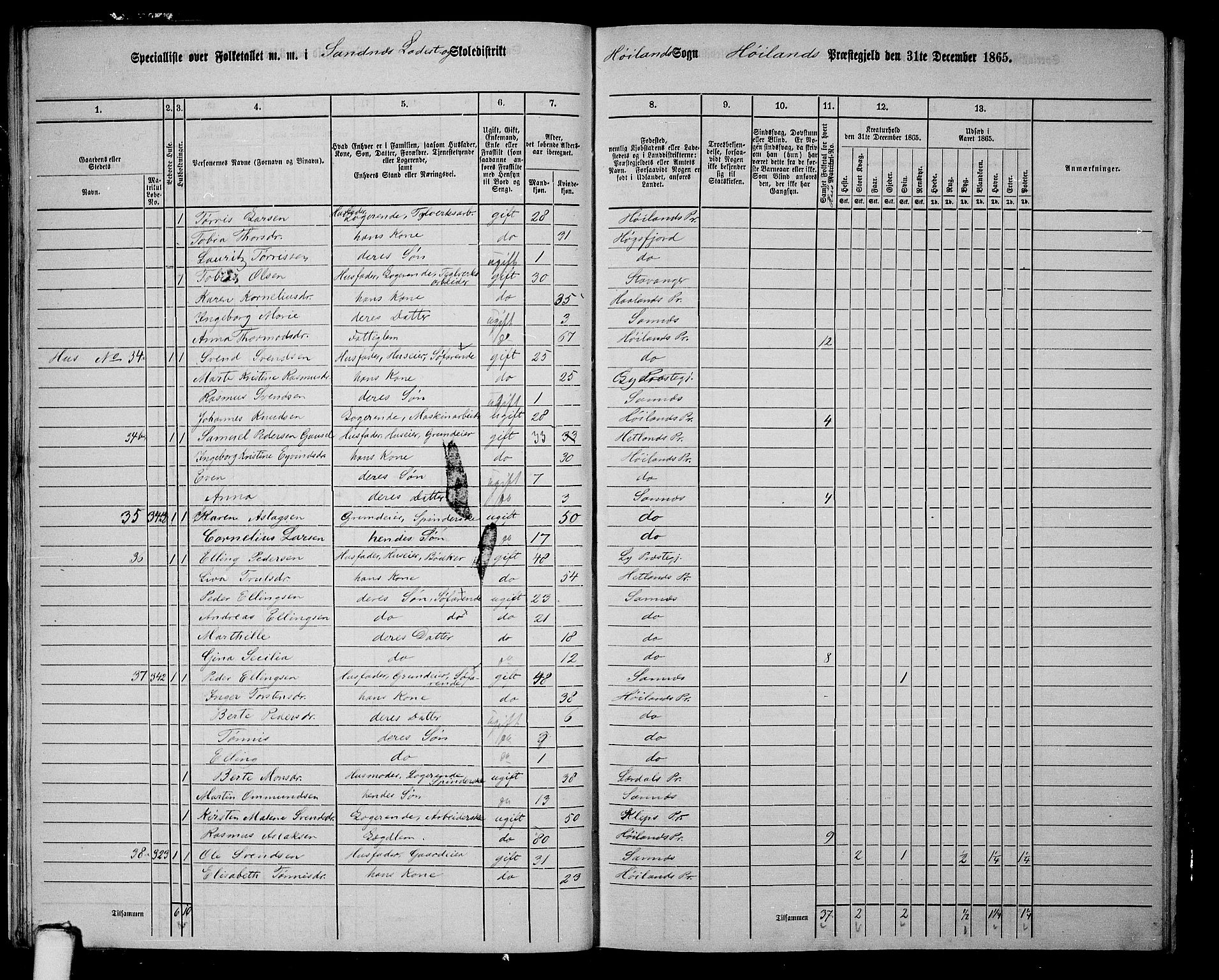 RA, 1865 census for Høyland, 1865, p. 159