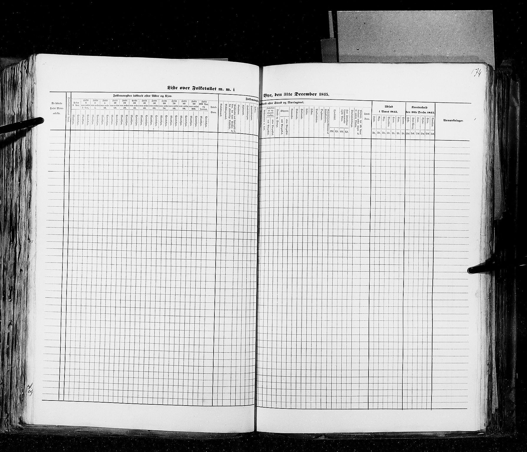 RA, Census 1845, vol. 10: Cities, 1845, p. 174