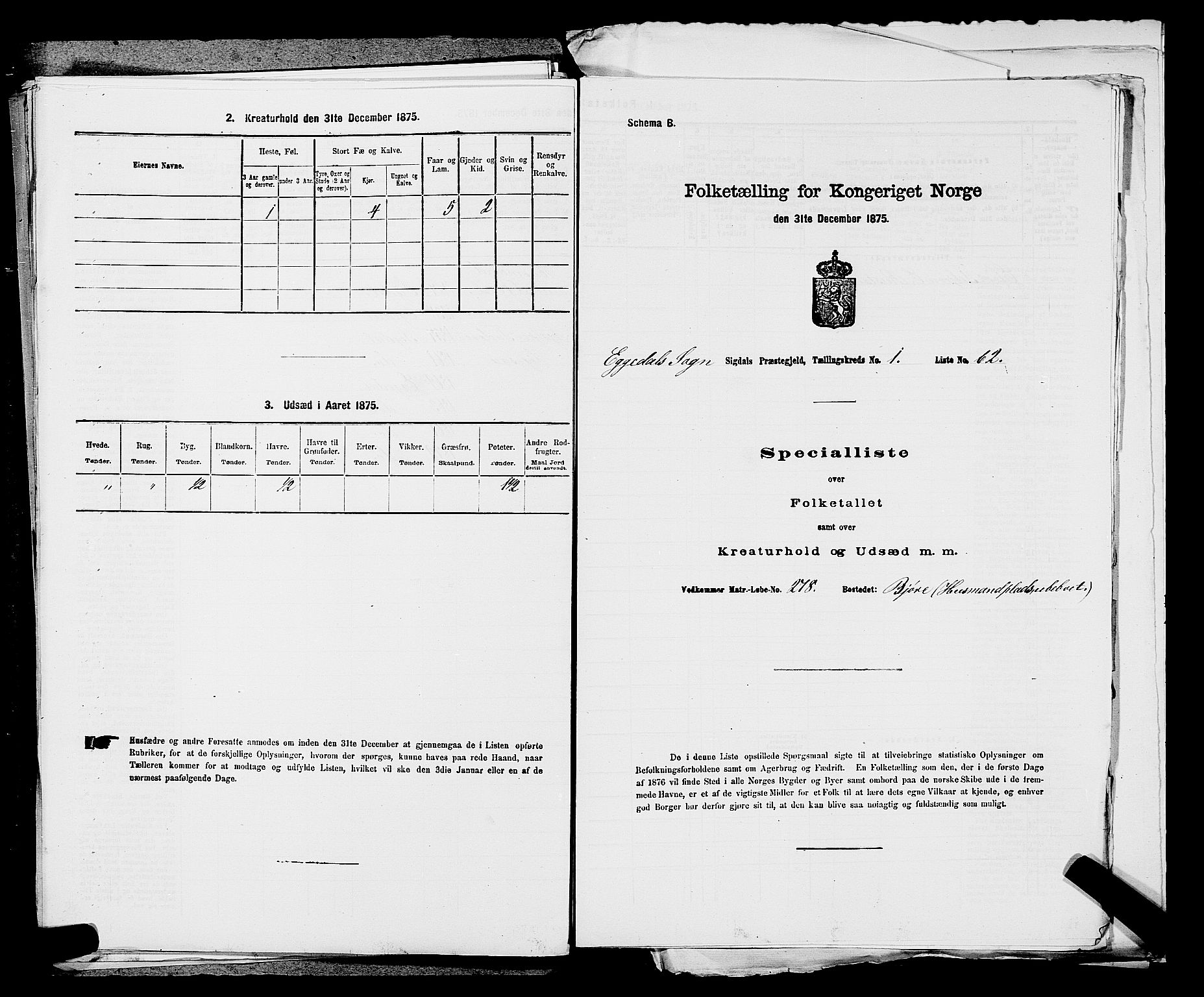 SAKO, 1875 census for 0621P Sigdal, 1875, p. 1996