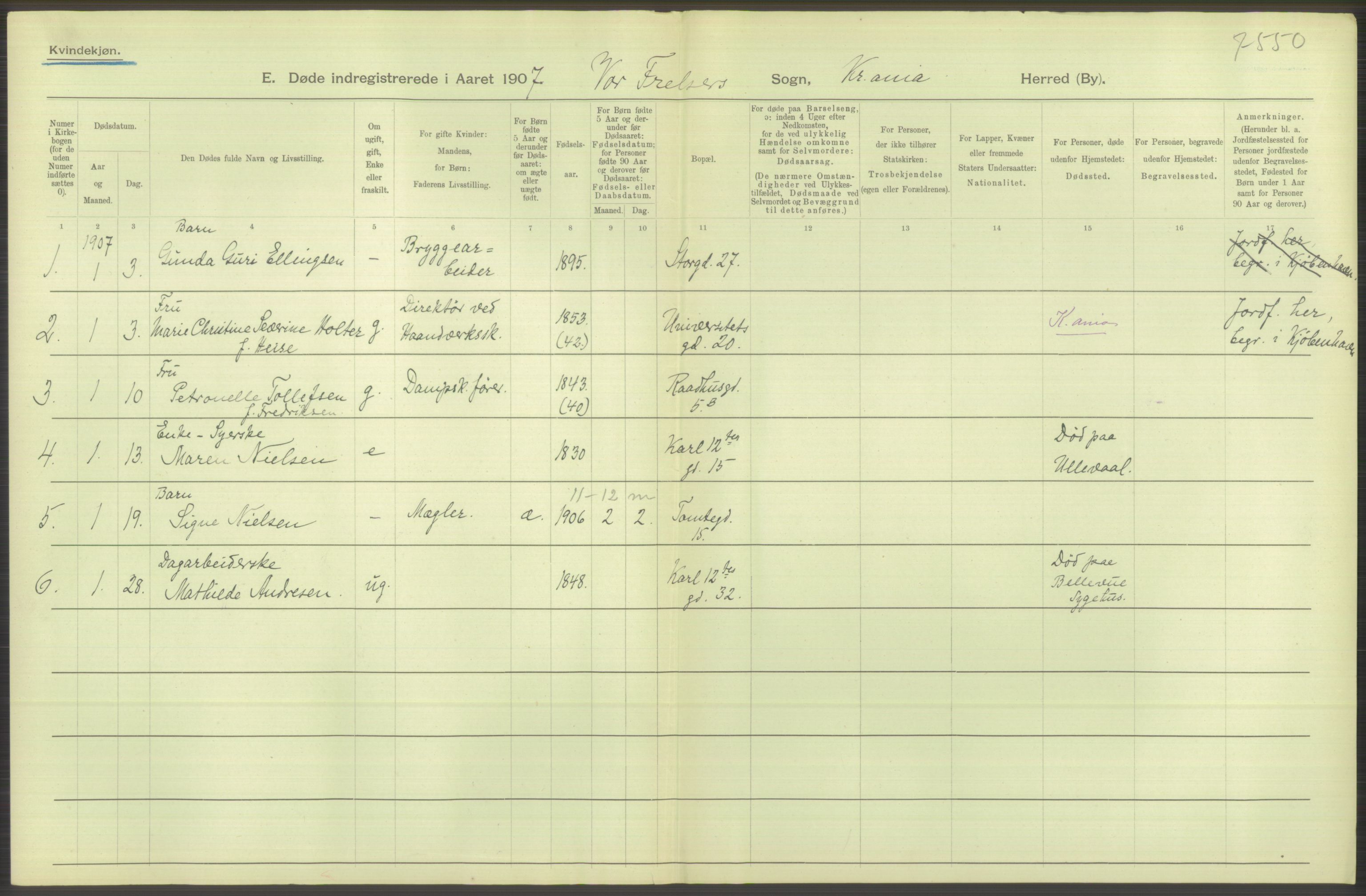 Statistisk sentralbyrå, Sosiodemografiske emner, Befolkning, AV/RA-S-2228/D/Df/Dfa/Dfae/L0009: Kristiania: Døde, 1907, p. 218