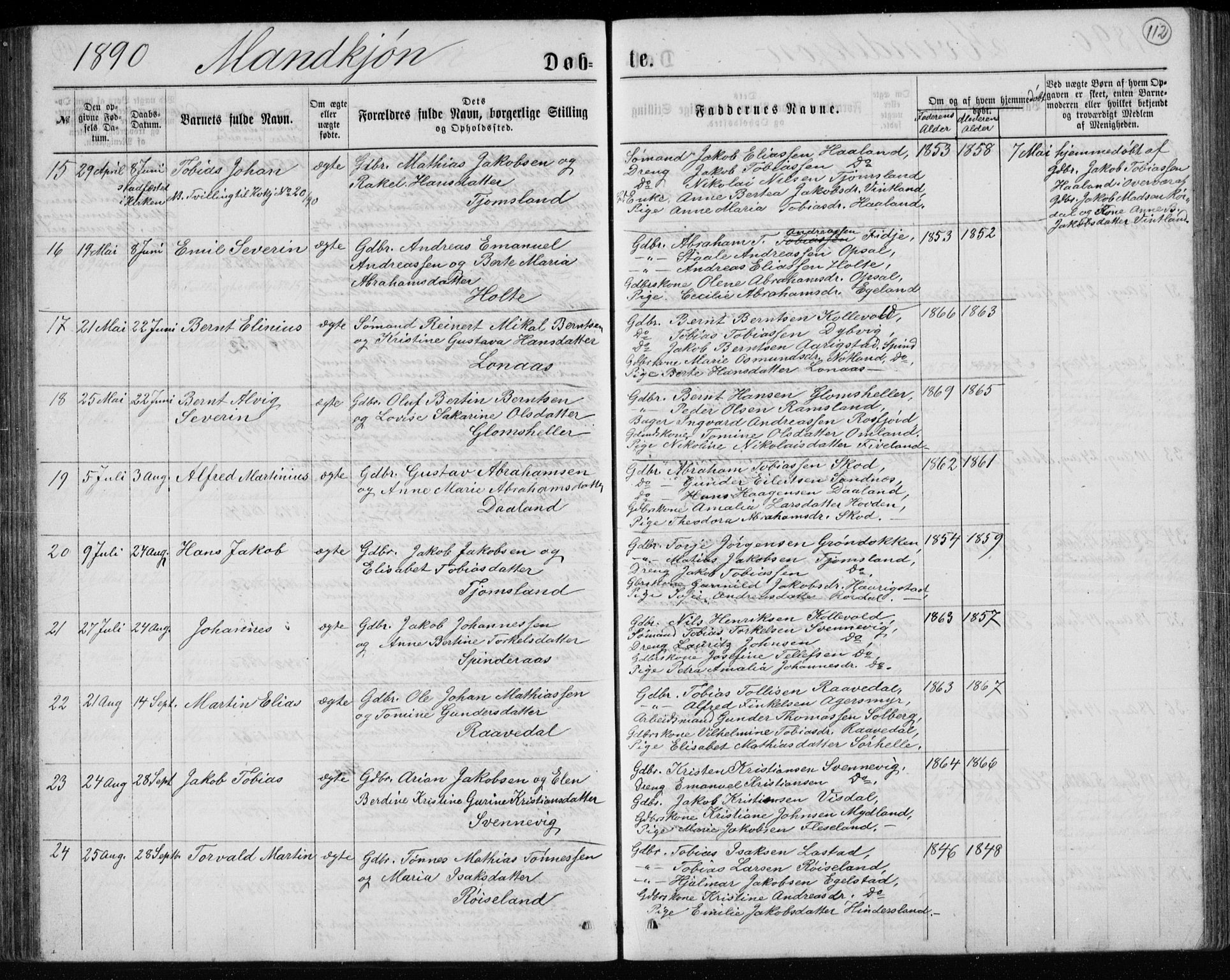 Lyngdal sokneprestkontor, AV/SAK-1111-0029/F/Fb/Fbc/L0004: Parish register (copy) no. B 4, 1878-1896, p. 112