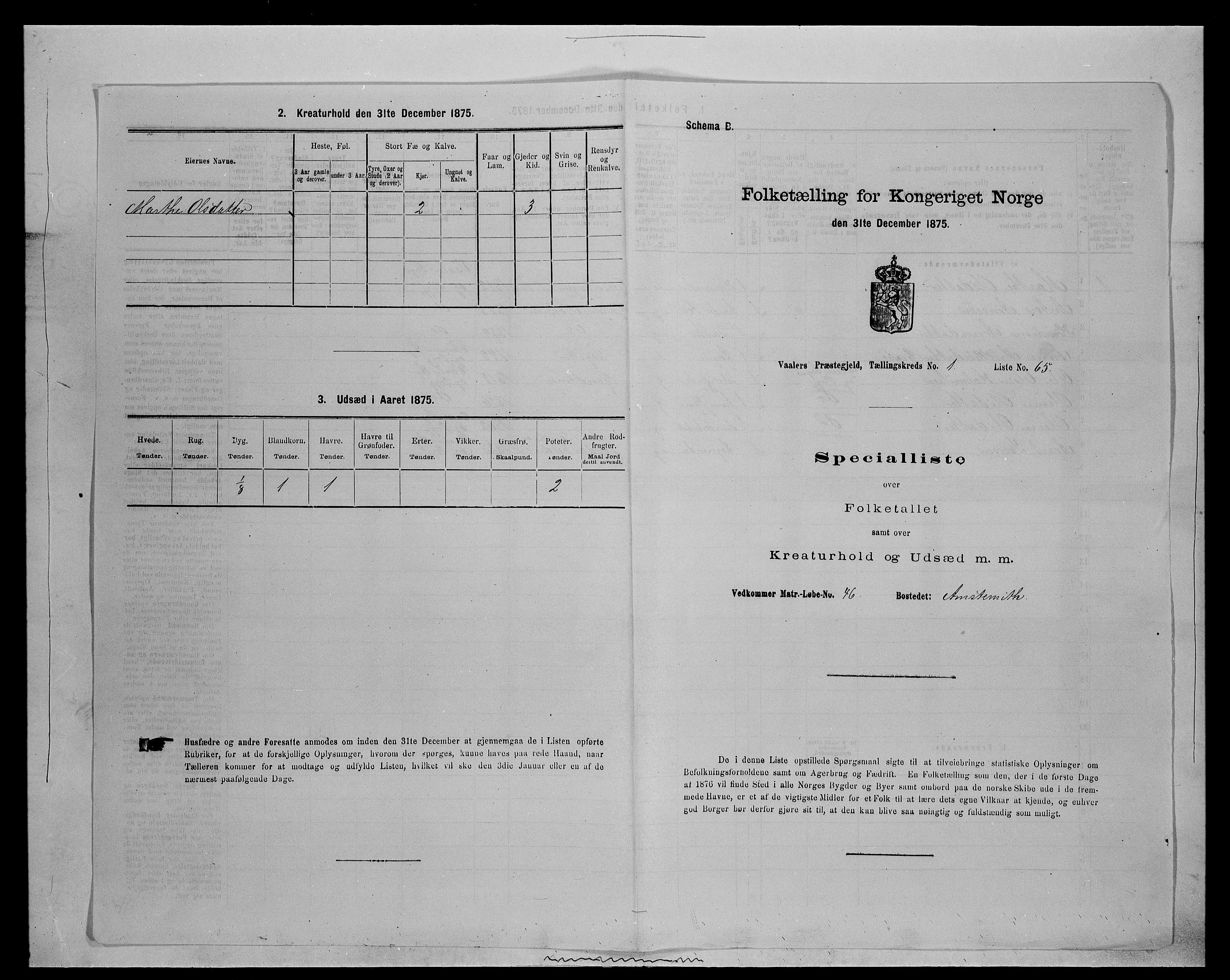 SAH, 1875 census for 0426P Våler parish (Hedmark), 1875, p. 240