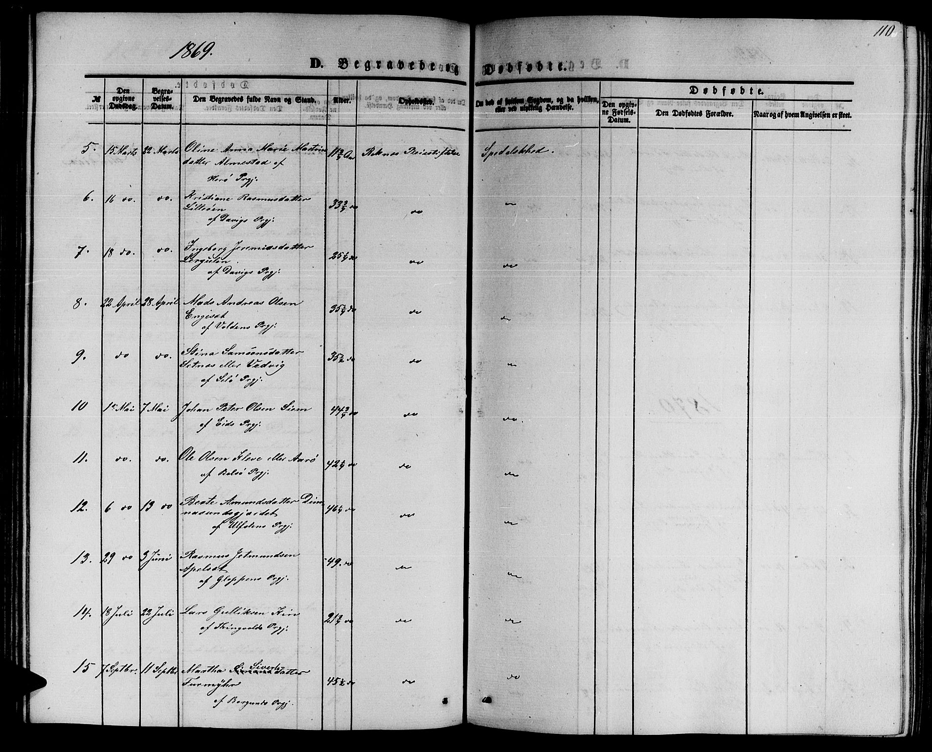 Ministerialprotokoller, klokkerbøker og fødselsregistre - Møre og Romsdal, AV/SAT-A-1454/559/L0713: Parish register (official) no. 559A01, 1861-1886, p. 110