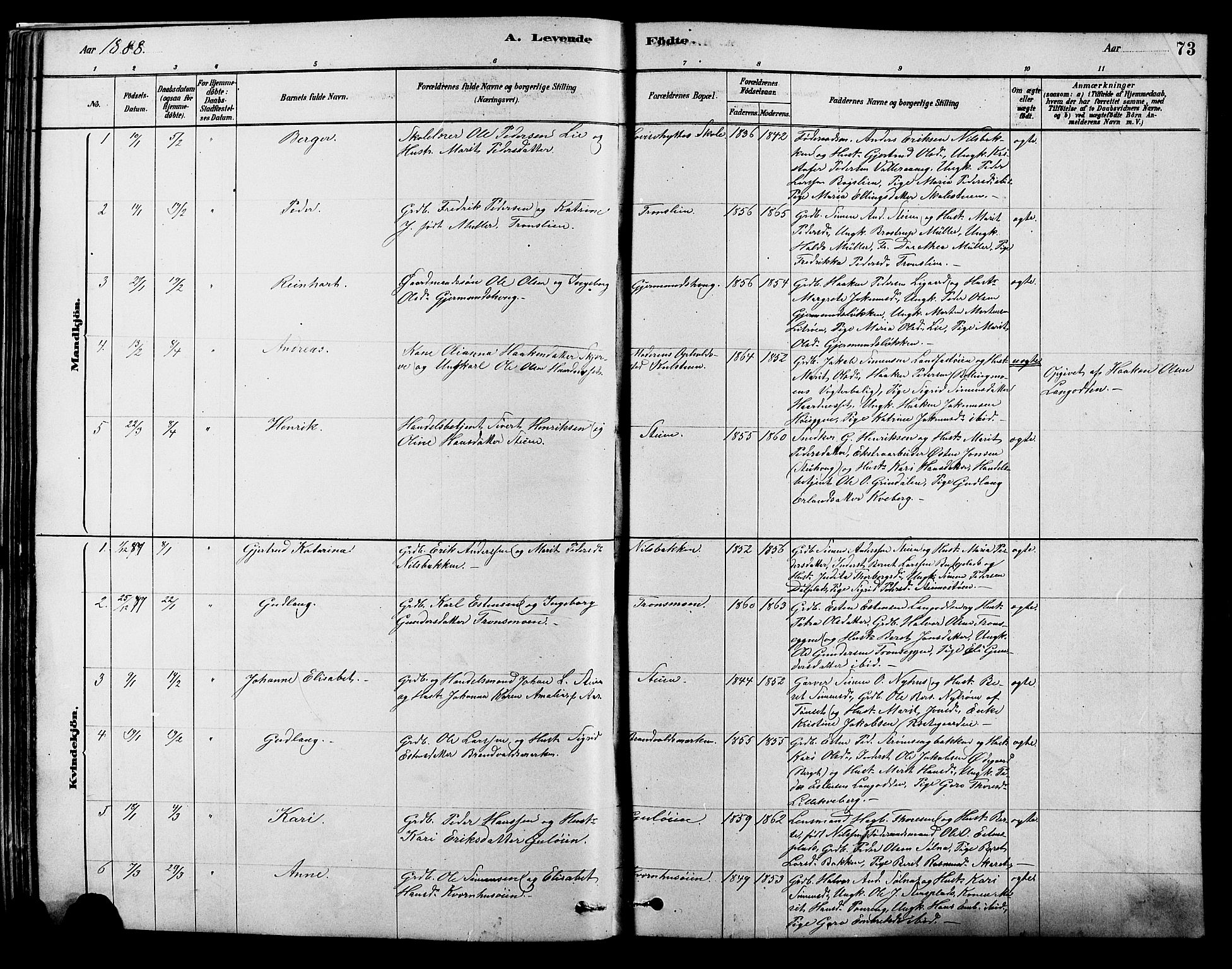 Alvdal prestekontor, SAH/PREST-060/H/Ha/Hab/L0003: Parish register (copy) no. 3, 1878-1907, p. 73