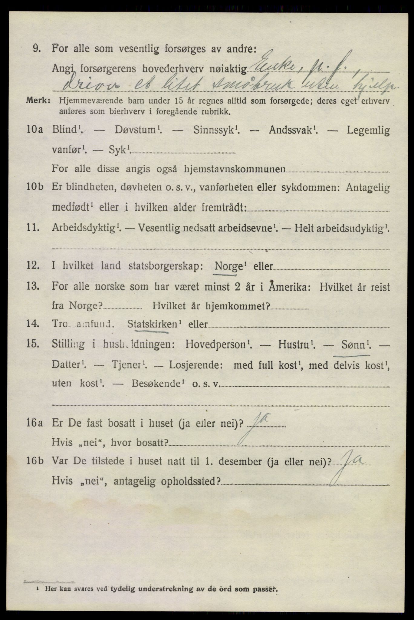 SAKO, 1920 census for Nøtterøy, 1920, p. 11136