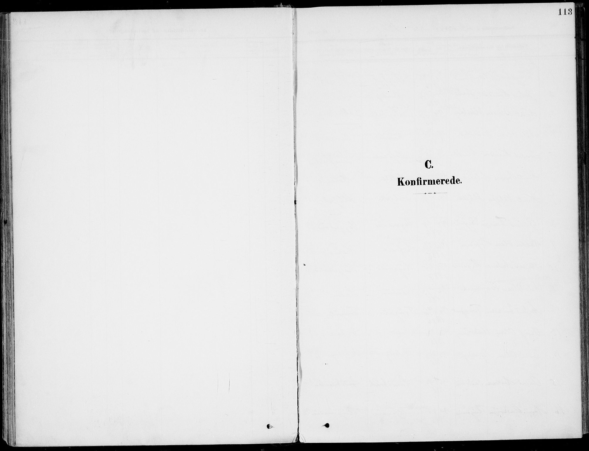 Sigdal kirkebøker, SAKO/A-245/F/Fb/L0002: Parish register (official) no. II 2, 1901-1914, p. 113