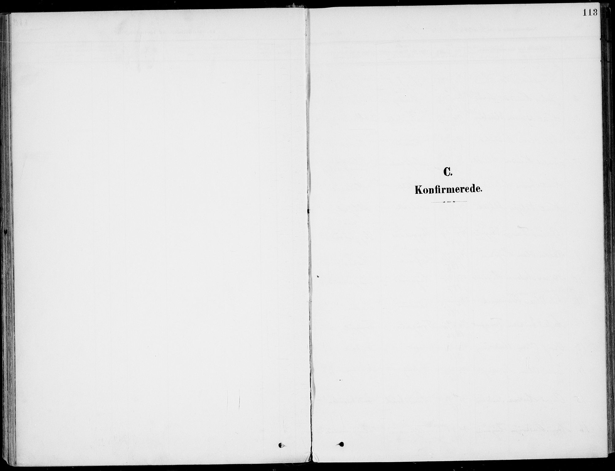 Sigdal kirkebøker, AV/SAKO-A-245/F/Fb/L0002: Parish register (official) no. II 2, 1901-1914, p. 113