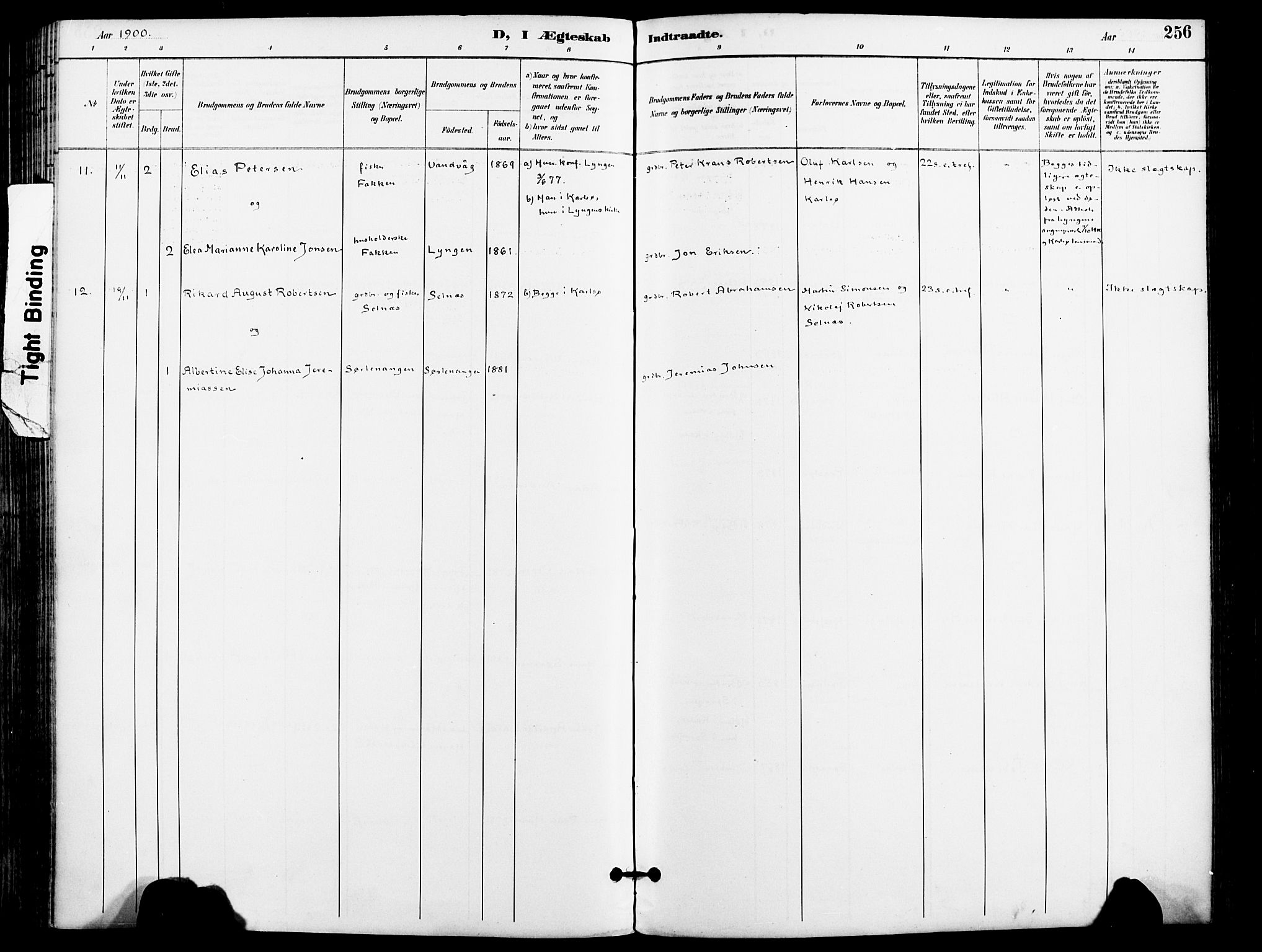 Karlsøy sokneprestembete, AV/SATØ-S-1299/H/Ha/Haa/L0007kirke: Parish register (official) no. 7, 1891-1902, p. 256