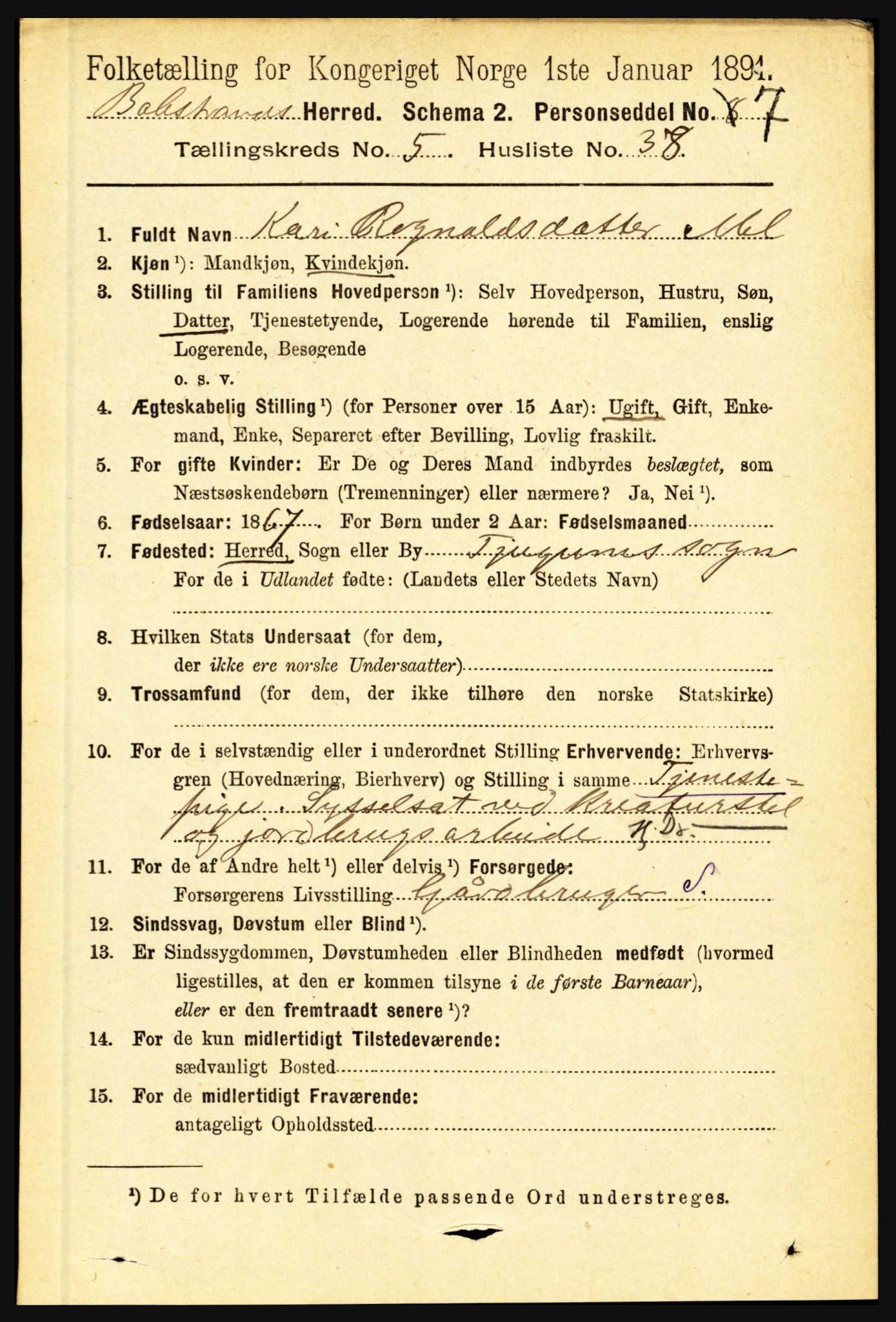 RA, 1891 census for 1418 Balestrand, 1891, p. 1324