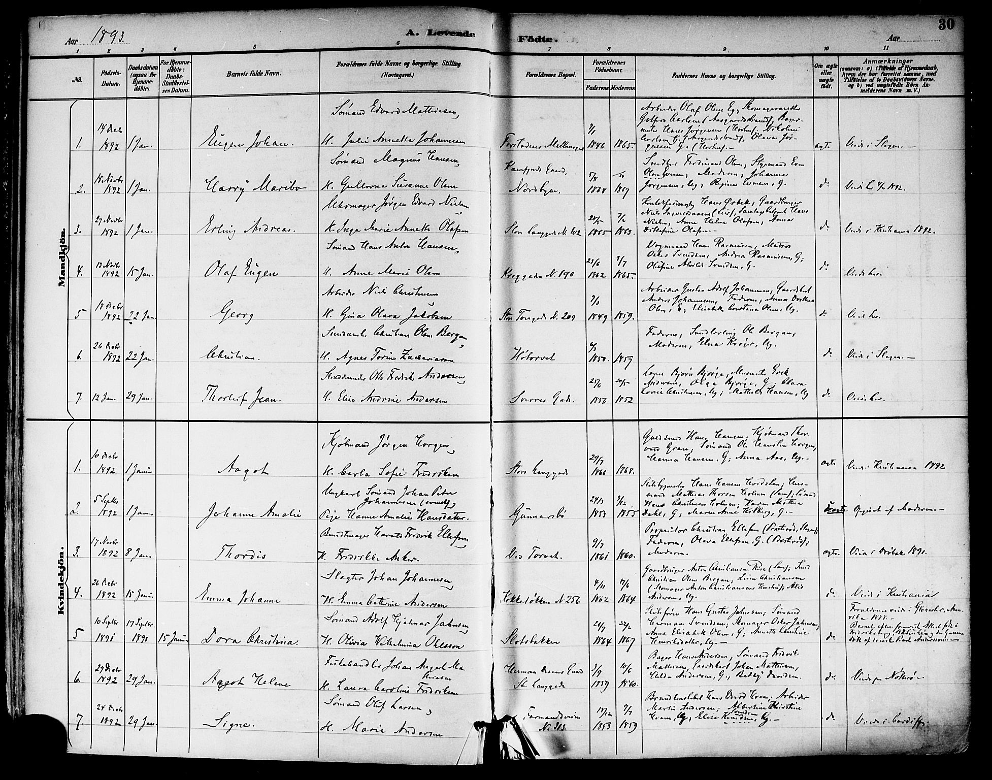 Tønsberg kirkebøker, SAKO/A-330/F/Fa/L0012: Parish register (official) no. I 12, 1891-1899, p. 30