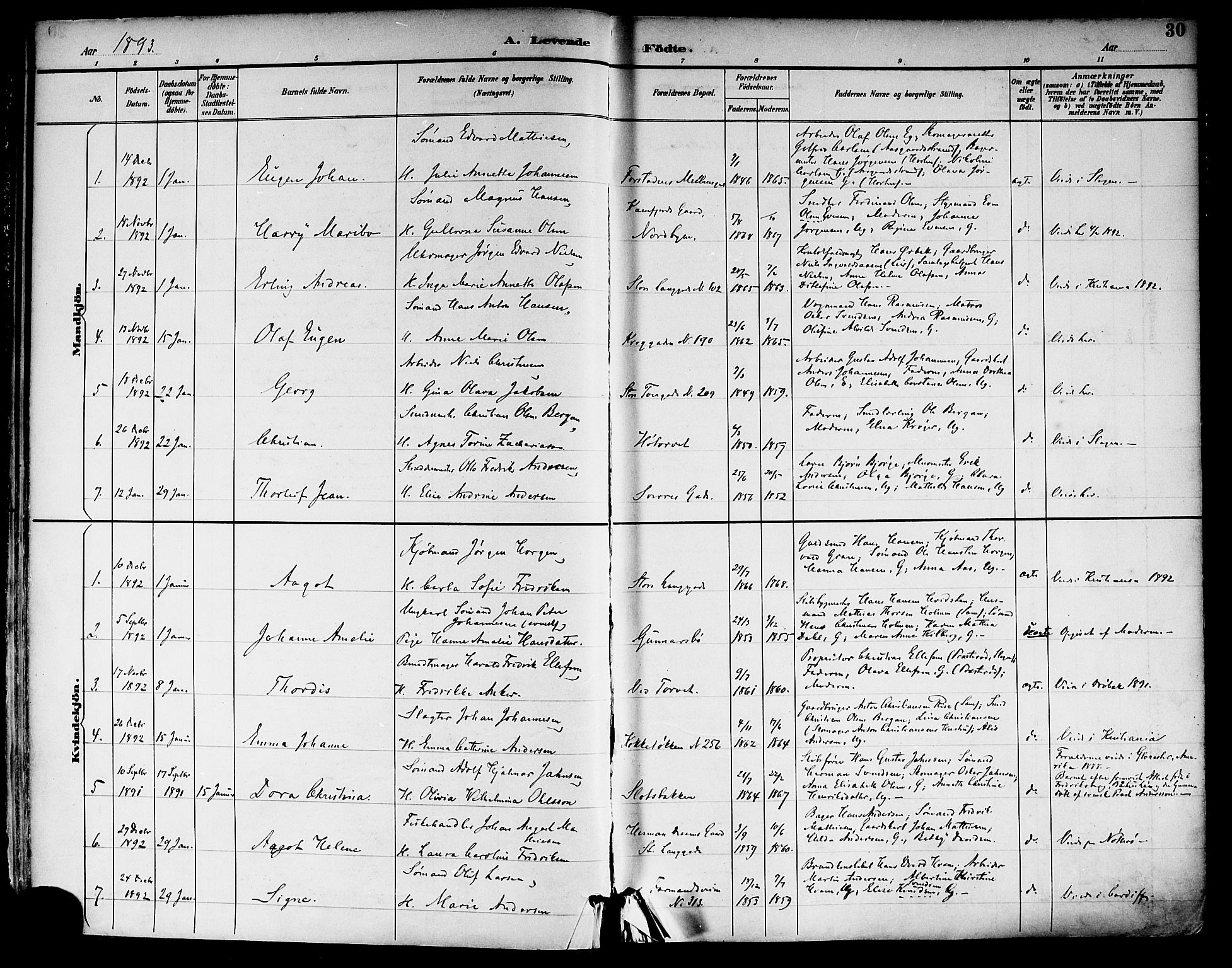 Tønsberg kirkebøker, AV/SAKO-A-330/F/Fa/L0012: Parish register (official) no. I 12, 1891-1899, p. 30