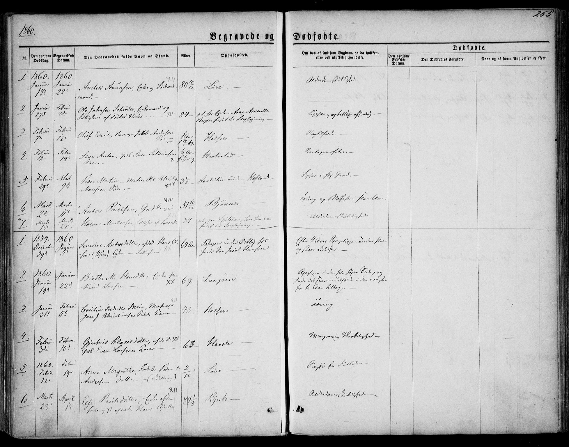 Tjølling kirkebøker, SAKO/A-60/F/Fa/L0007: Parish register (official) no. 7, 1860-1876, p. 265