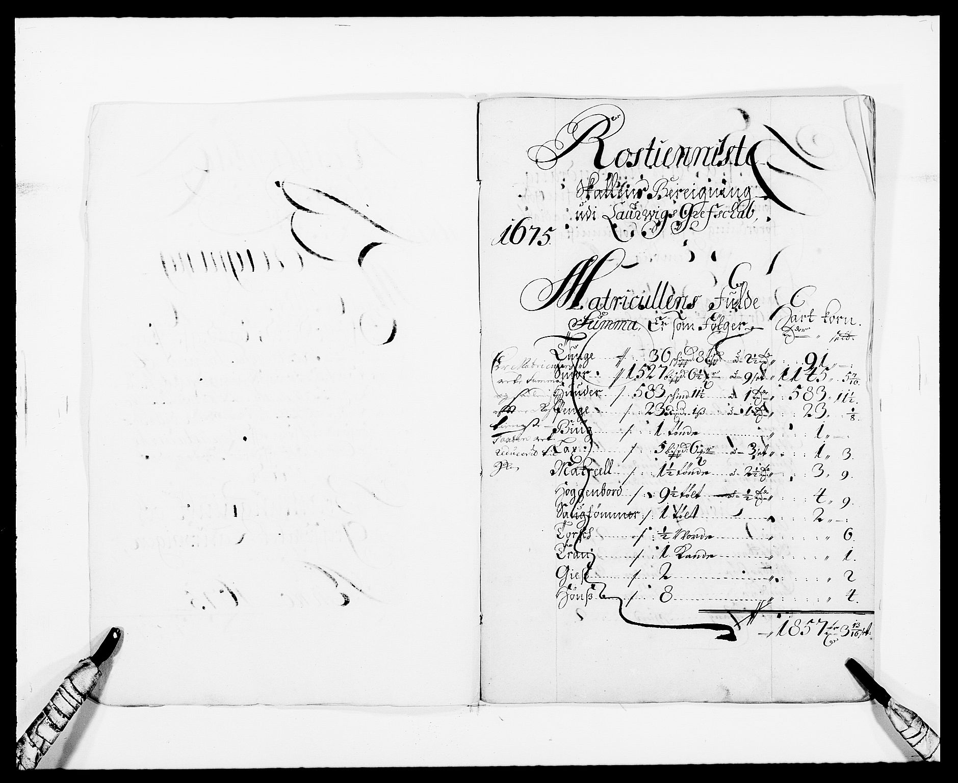 Rentekammeret inntil 1814, Reviderte regnskaper, Fogderegnskap, RA/EA-4092/R33/L1967: Fogderegnskap Larvik grevskap, 1675-1687, p. 174