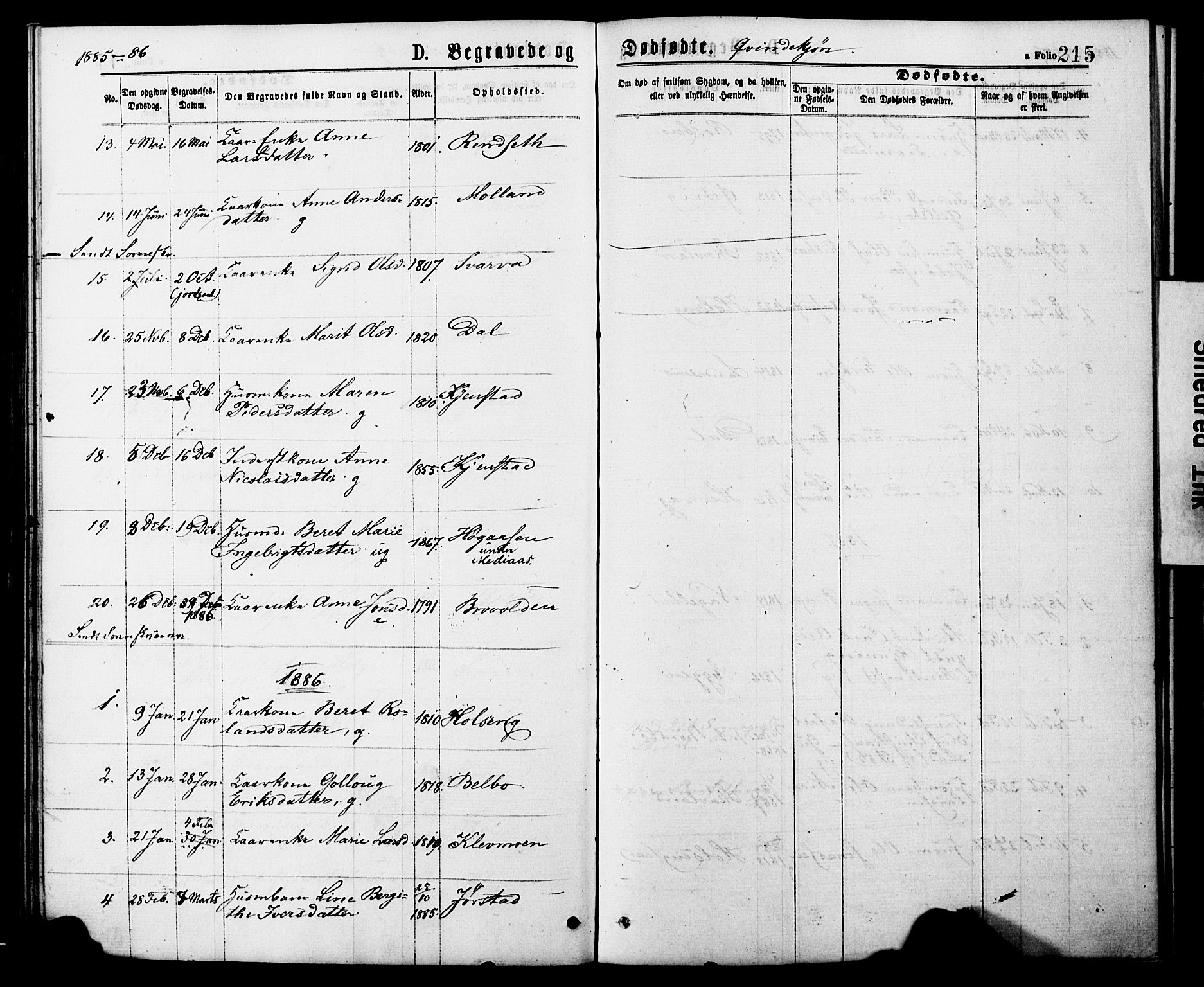 Ministerialprotokoller, klokkerbøker og fødselsregistre - Nord-Trøndelag, SAT/A-1458/749/L0473: Parish register (official) no. 749A07, 1873-1887, p. 215