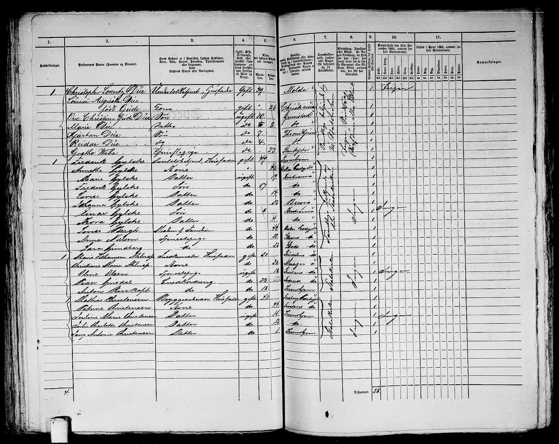 RA, 1865 census for Trondheim, 1865, p. 289