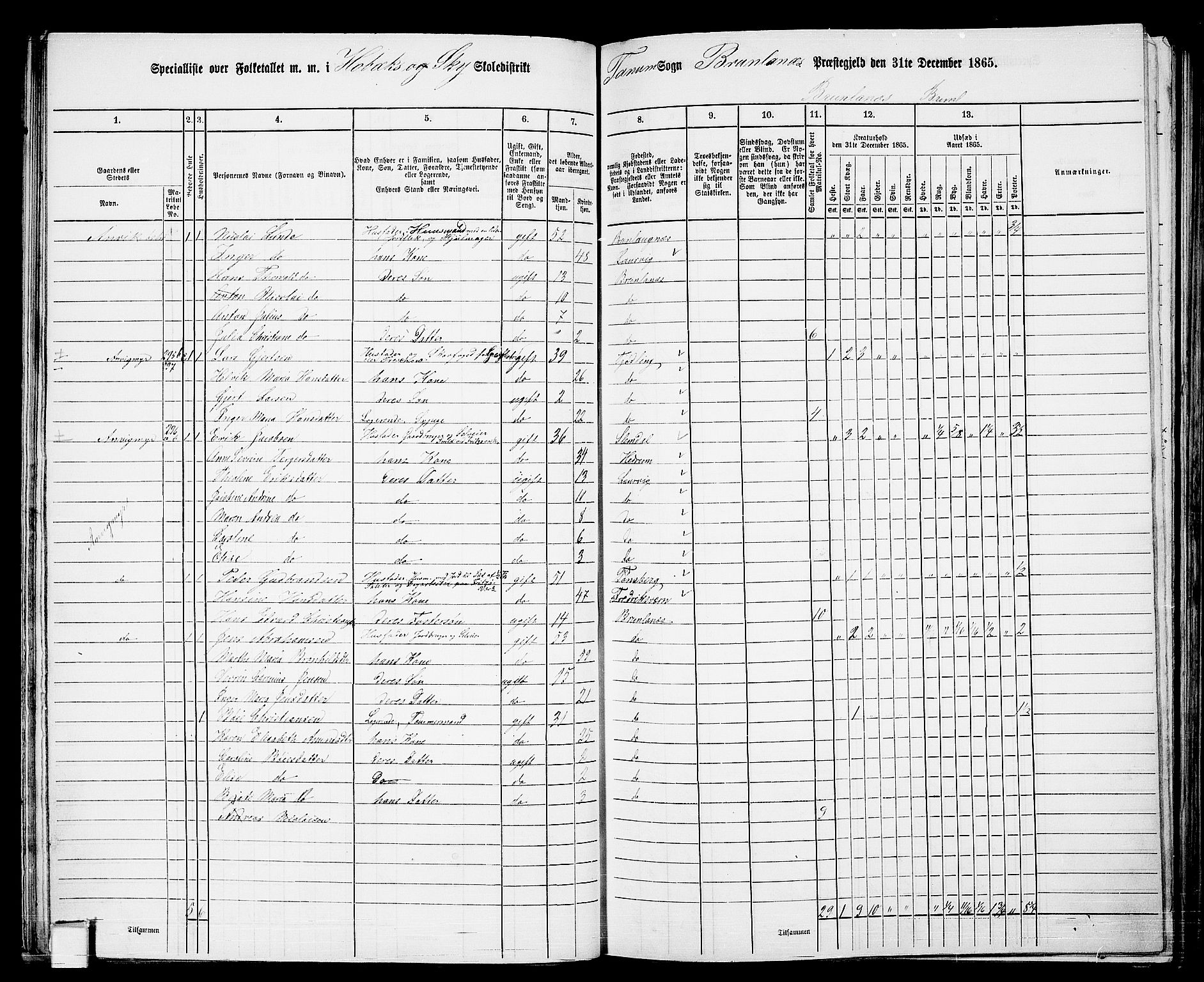 RA, 1865 census for Brunlanes, 1865, p. 38