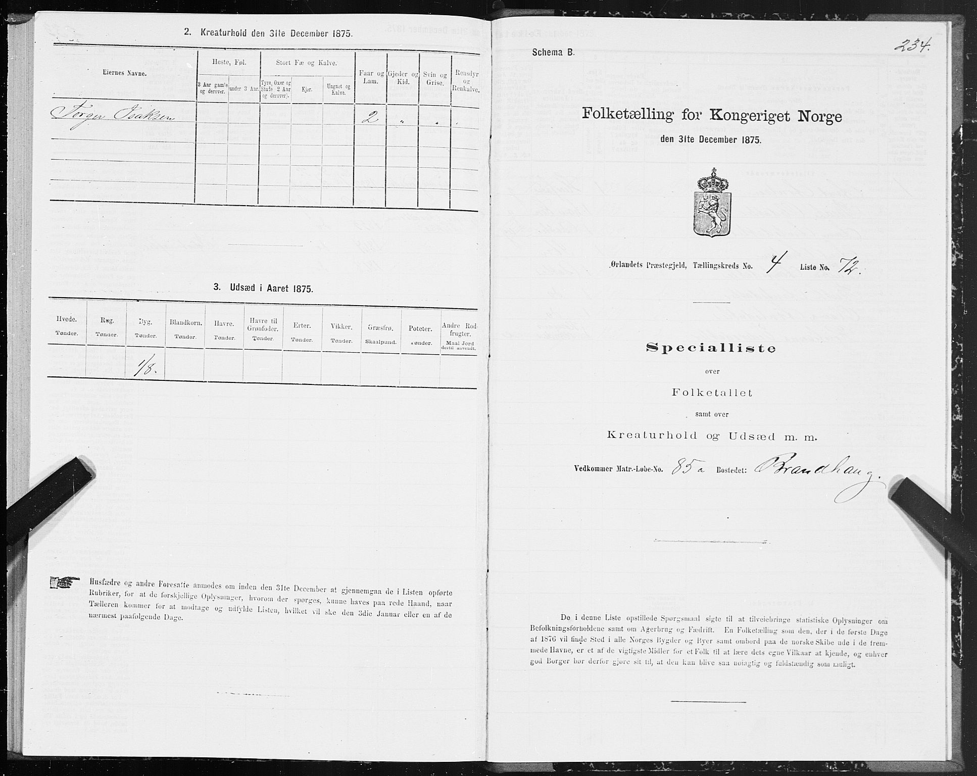 SAT, 1875 census for 1621P Ørland, 1875, p. 2234