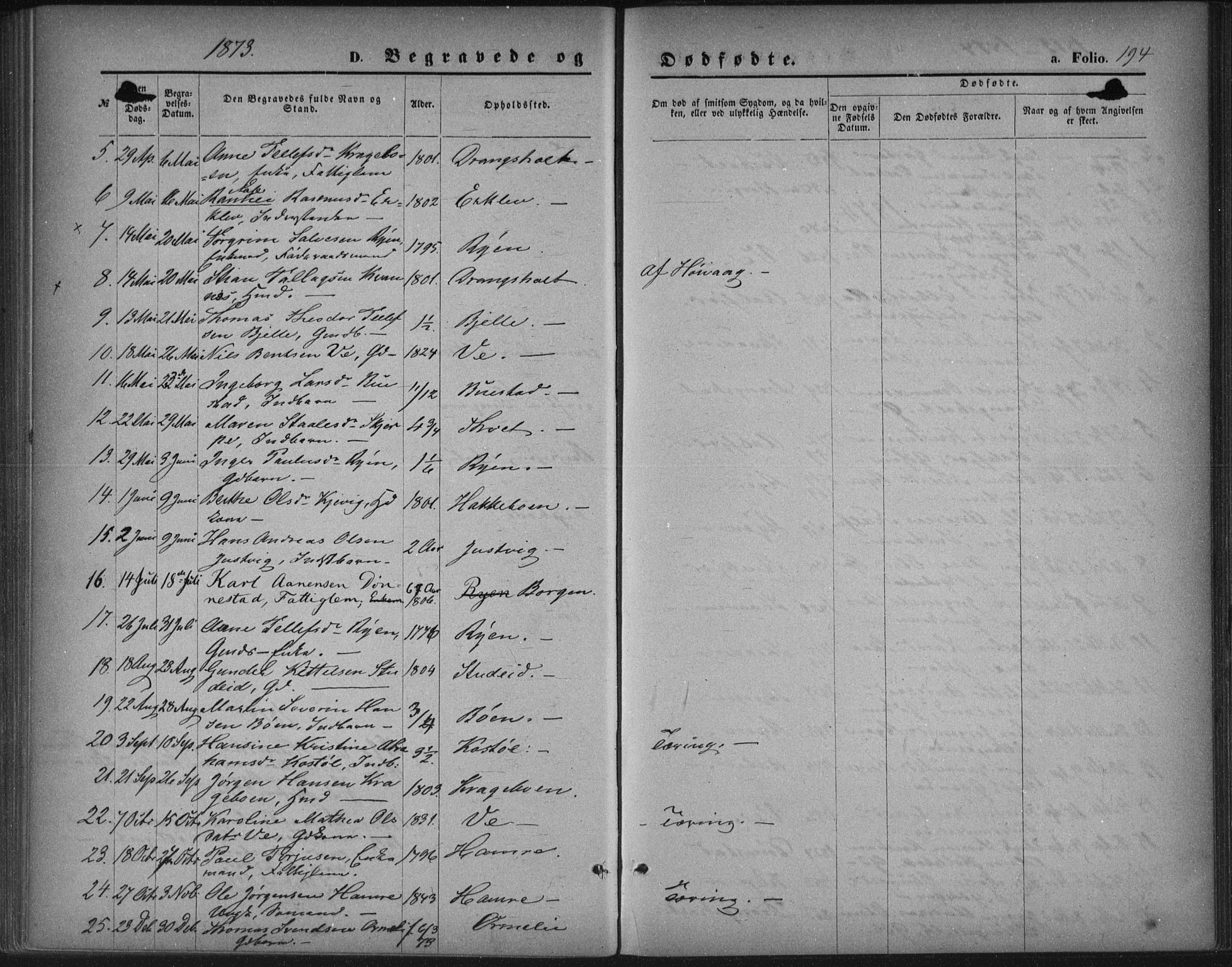 Tveit sokneprestkontor, AV/SAK-1111-0043/F/Fa/L0006: Parish register (official) no. A 6, 1872-1886, p. 194