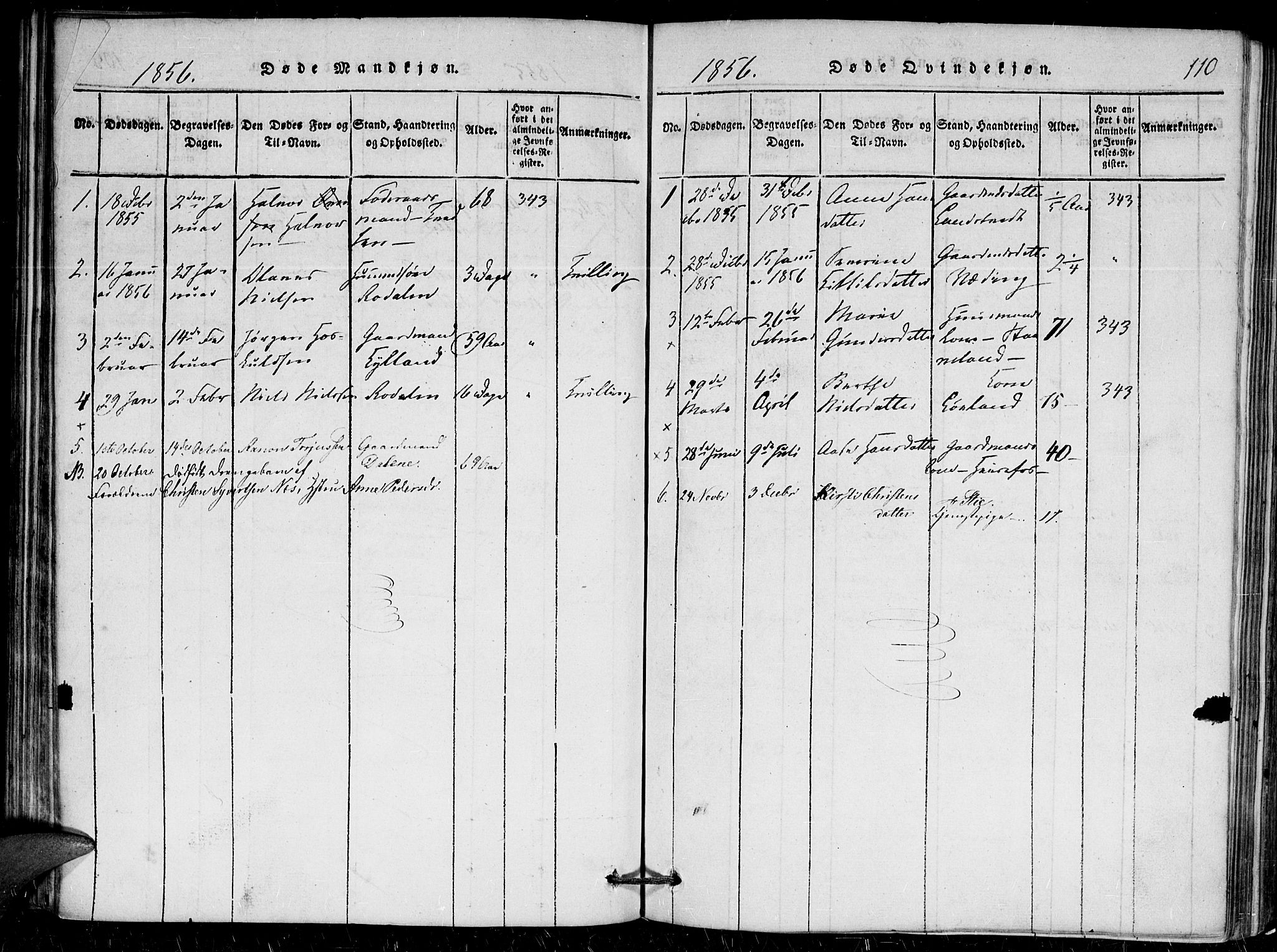 Herefoss sokneprestkontor, AV/SAK-1111-0019/F/Fa/Faa/L0001: Parish register (official) no. A 1, 1816-1860, p. 110