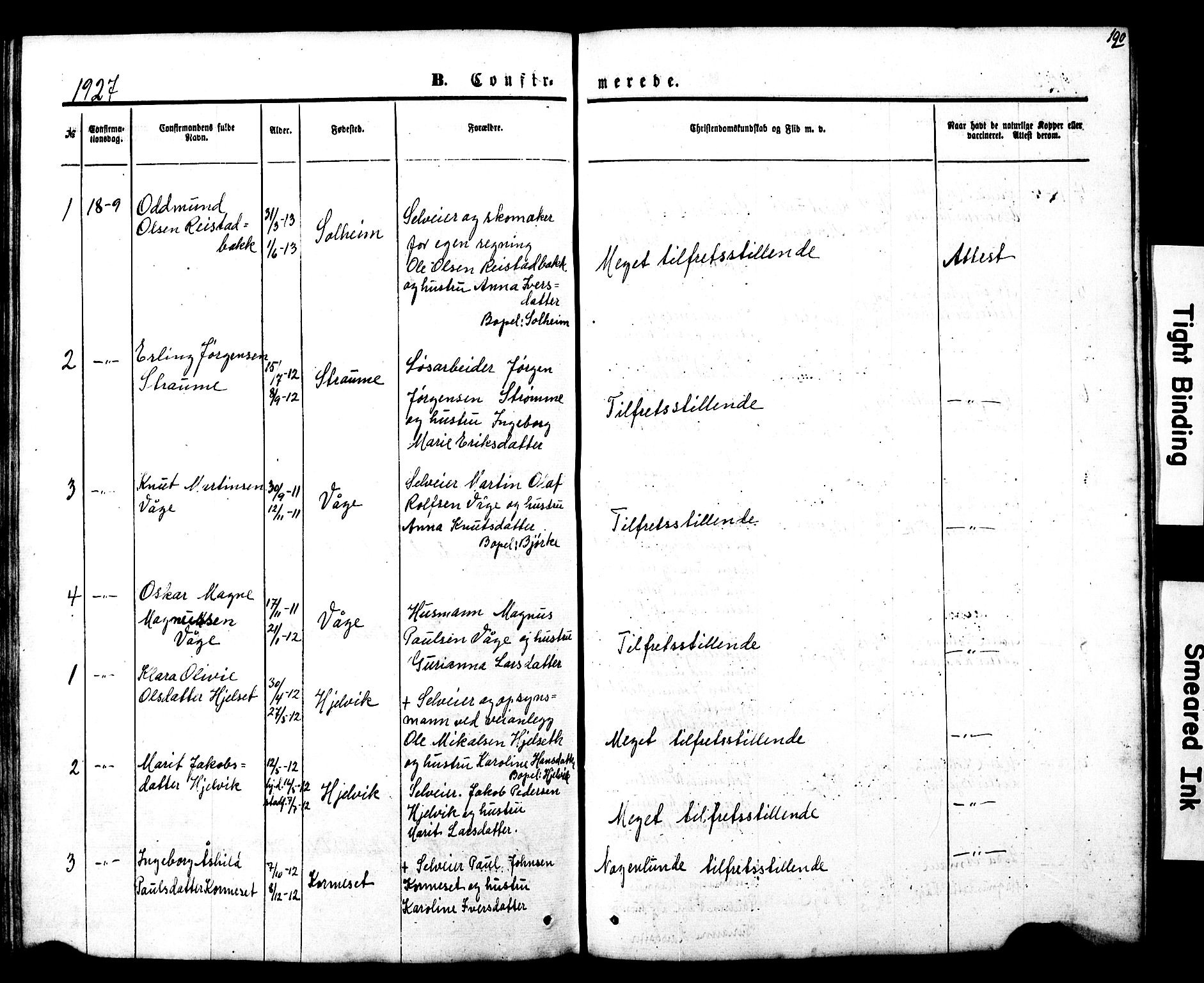 Ministerialprotokoller, klokkerbøker og fødselsregistre - Møre og Romsdal, SAT/A-1454/550/L0618: Parish register (copy) no. 550C01, 1870-1927, p. 190