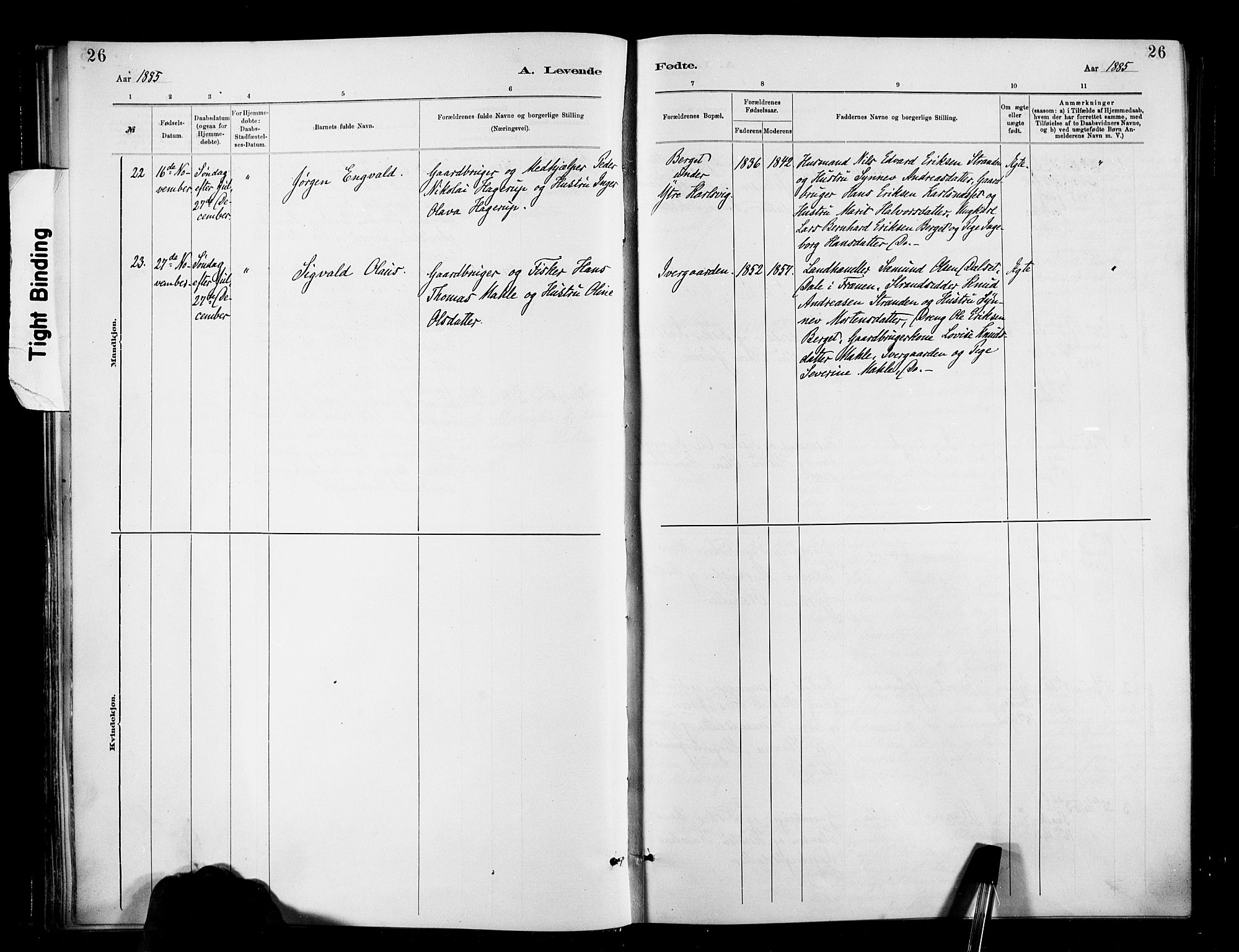 Ministerialprotokoller, klokkerbøker og fødselsregistre - Møre og Romsdal, AV/SAT-A-1454/566/L0769: Parish register (official) no. 566A08, 1881-1903, p. 26