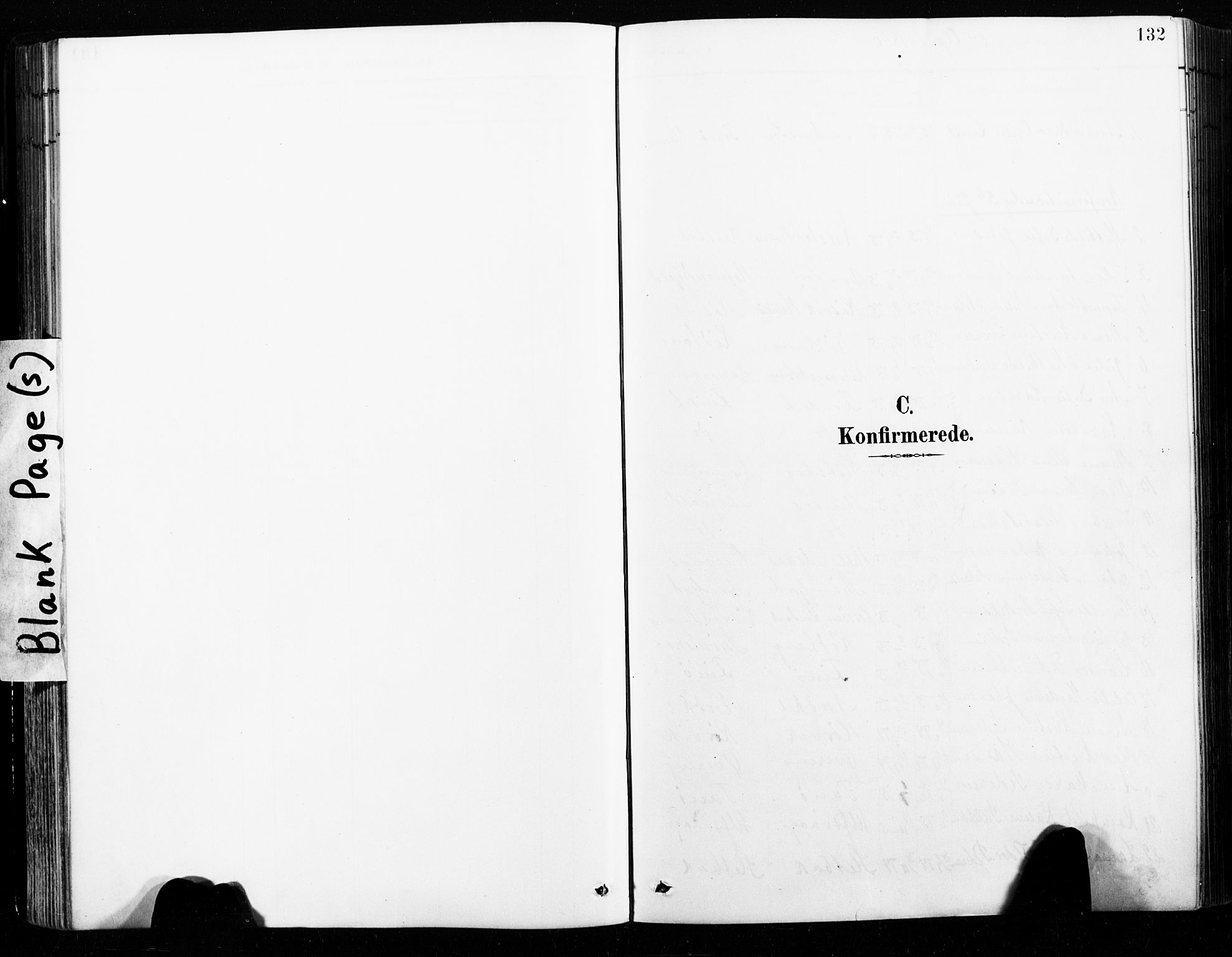 Ministerialprotokoller, klokkerbøker og fødselsregistre - Nordland, SAT/A-1459/859/L0847: Parish register (official) no. 859A07, 1890-1899, p. 132