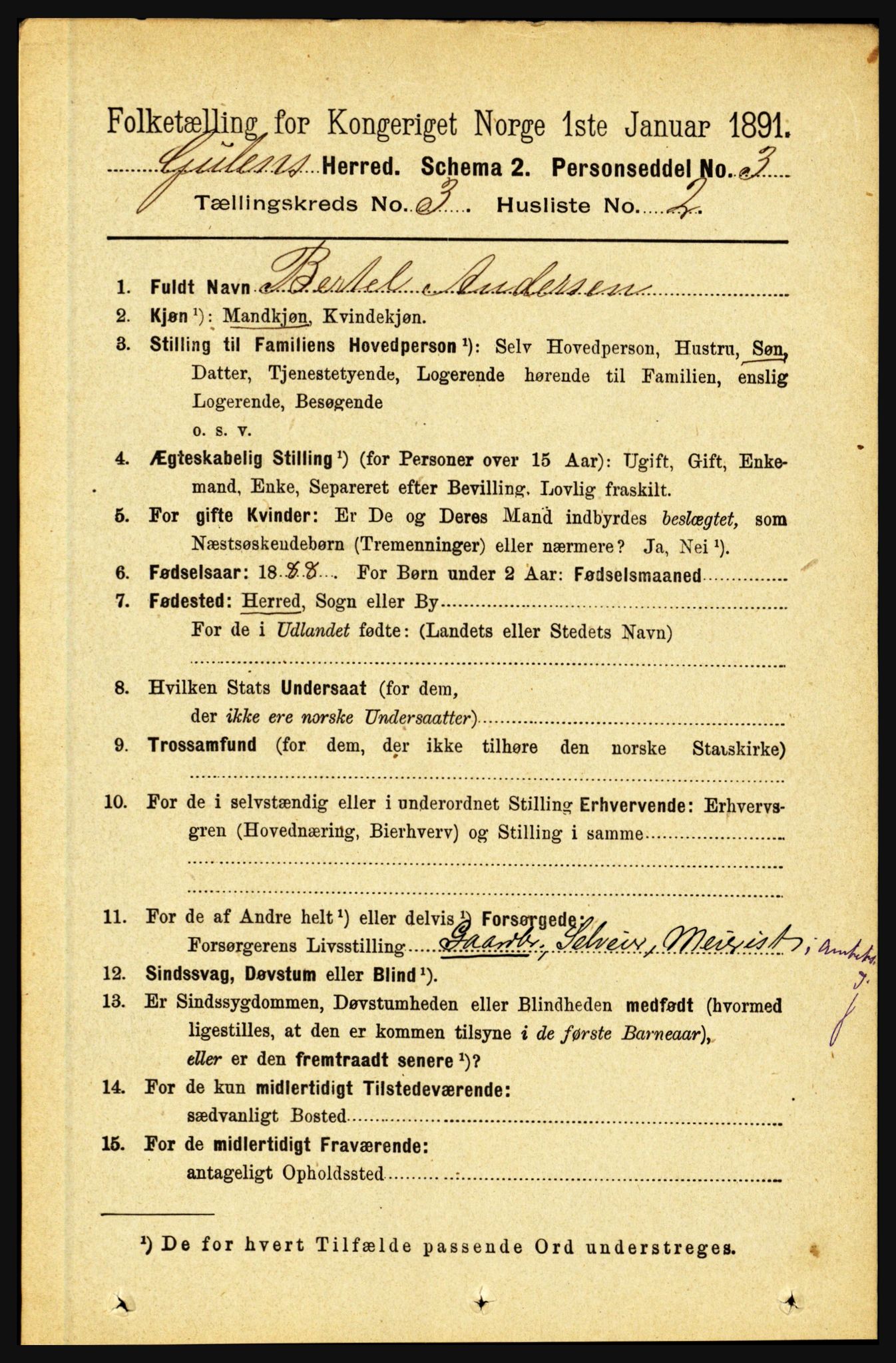 RA, 1891 census for 1411 Gulen, 1891, p. 891