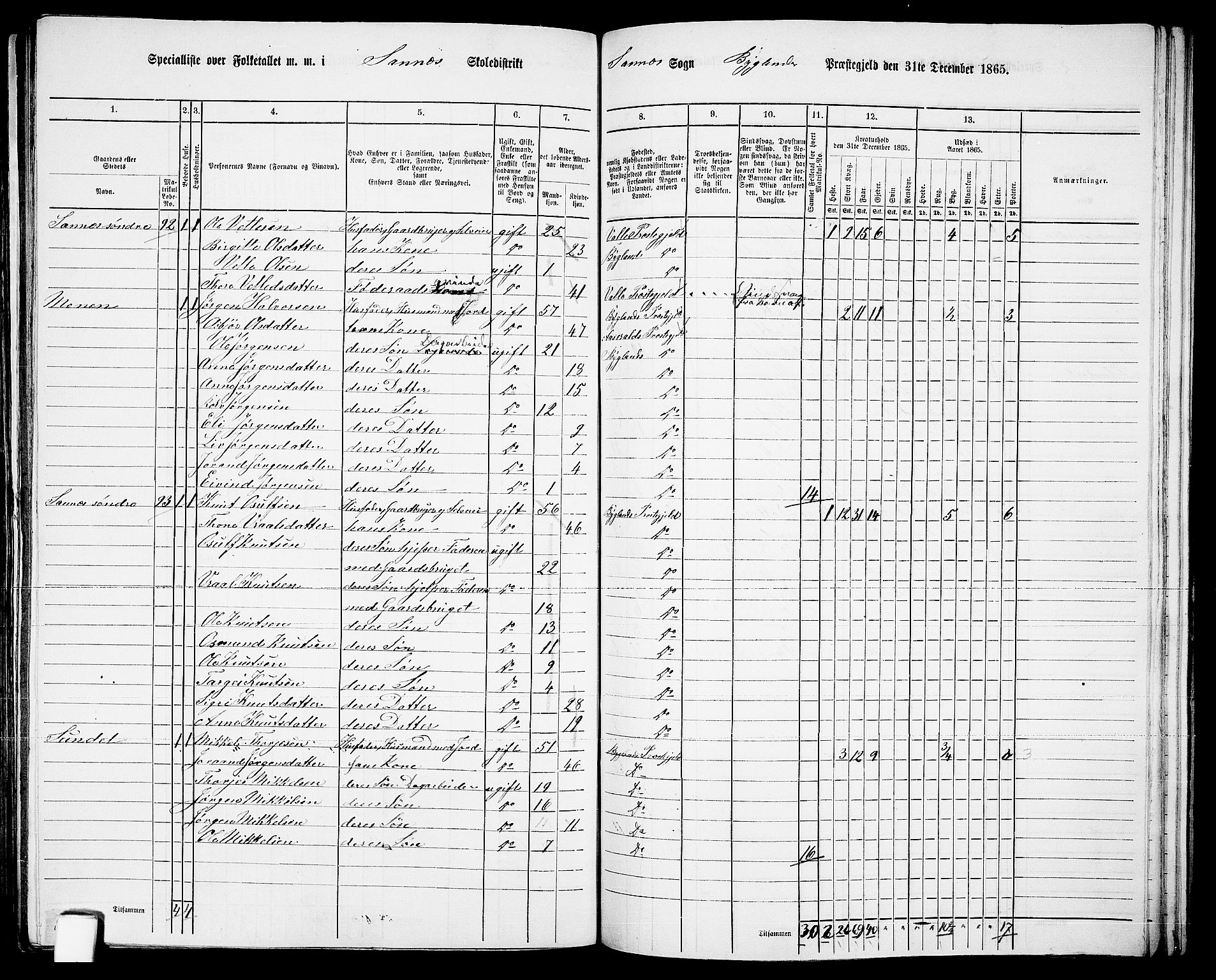 RA, 1865 census for Bygland, 1865, p. 47