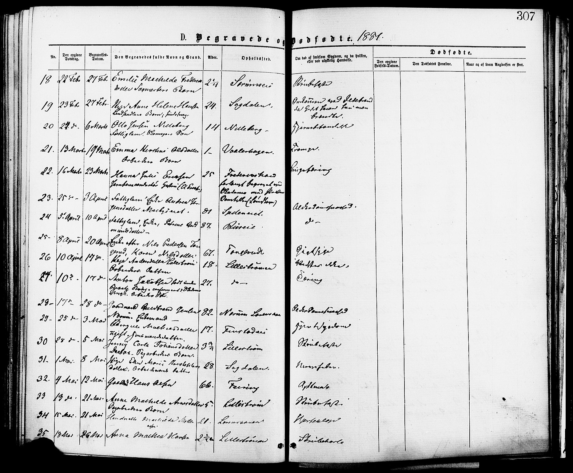 Skedsmo prestekontor Kirkebøker, AV/SAO-A-10033a/F/Fa/L0012: Parish register (official) no. I 12, 1876-1883, p. 307