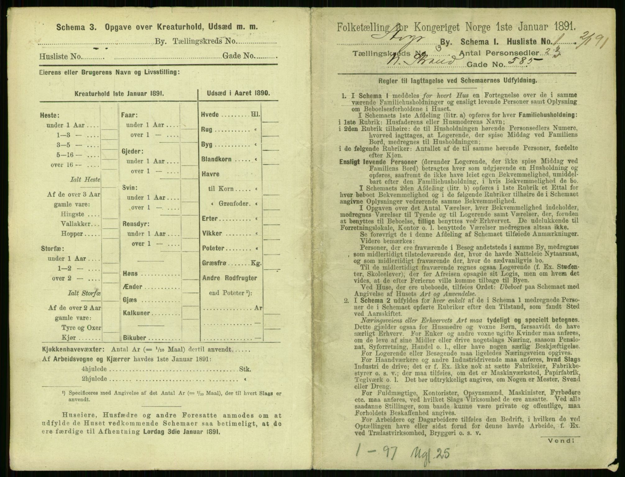 RA, 1891 census for 1103 Stavanger, 1891, p. 467