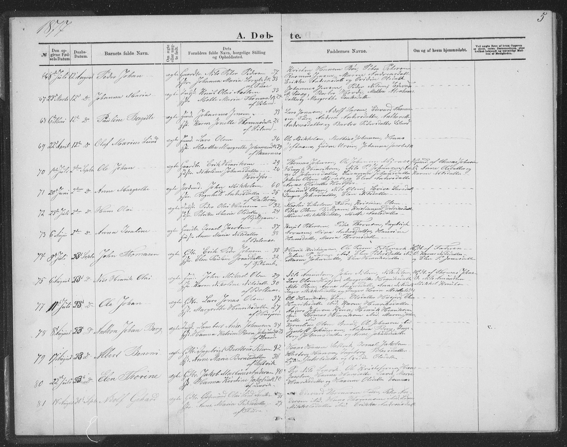 Ministerialprotokoller, klokkerbøker og fødselsregistre - Nordland, AV/SAT-A-1459/863/L0913: Parish register (copy) no. 863C03, 1877-1885, p. 5